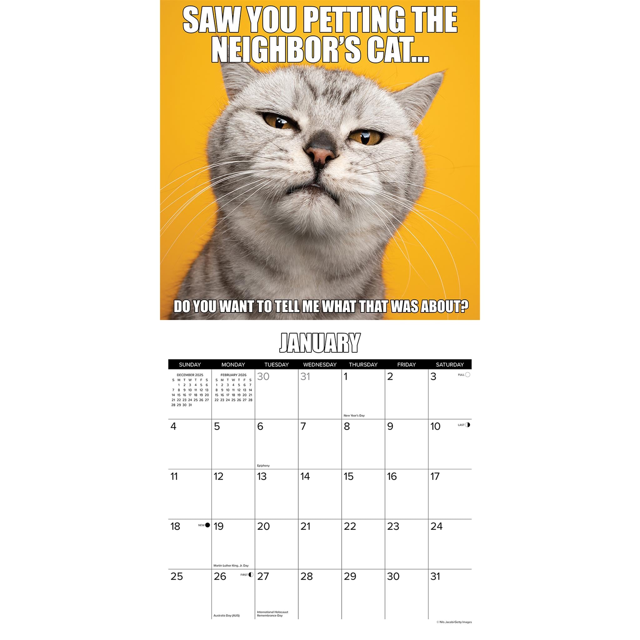 Catastrophe 2026 Wall Calendar