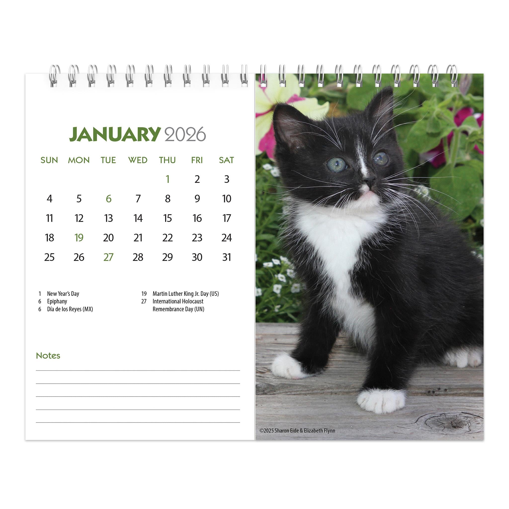 Calendrier chevalet double vue Chatons 2026