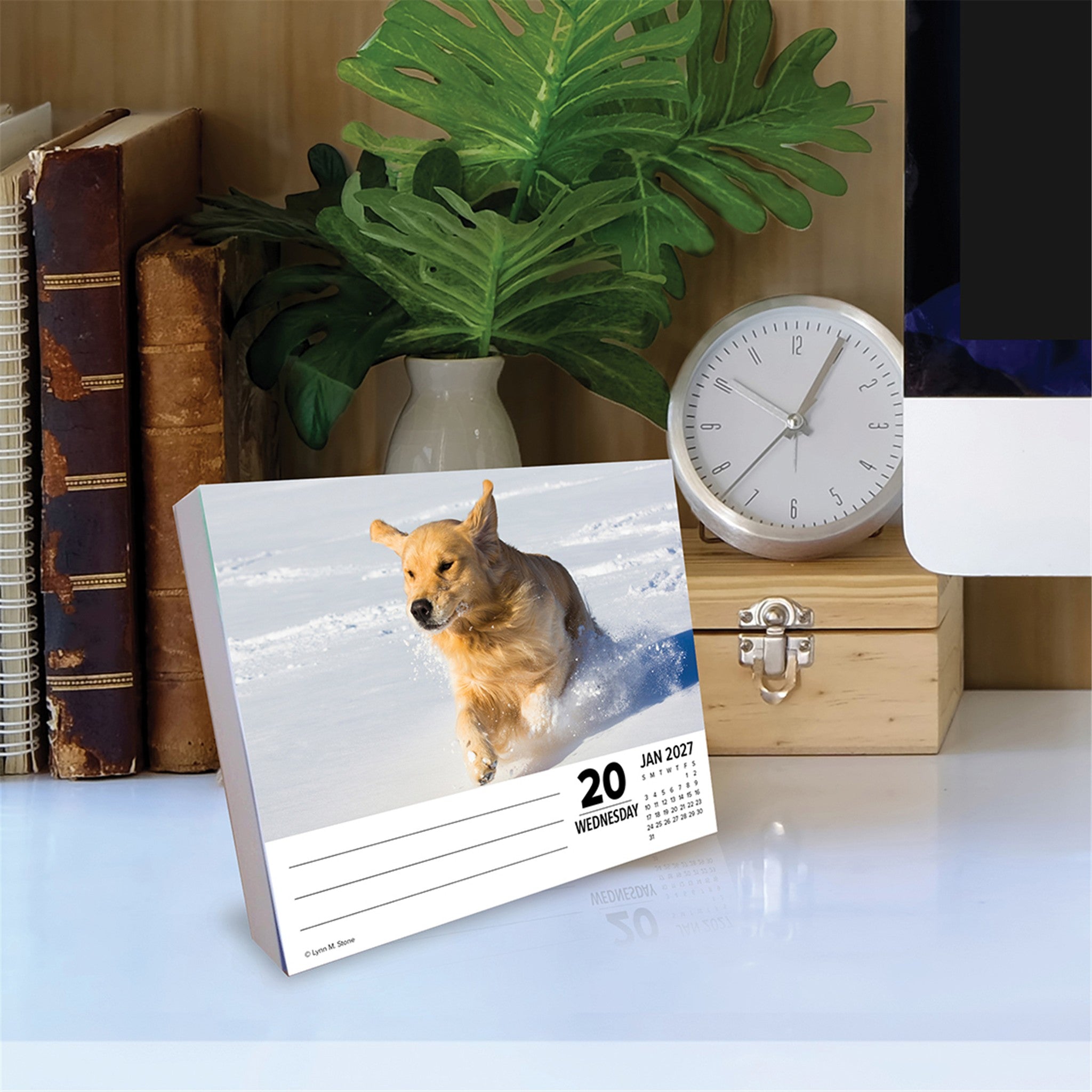 Goldens 2027 Box Calendar