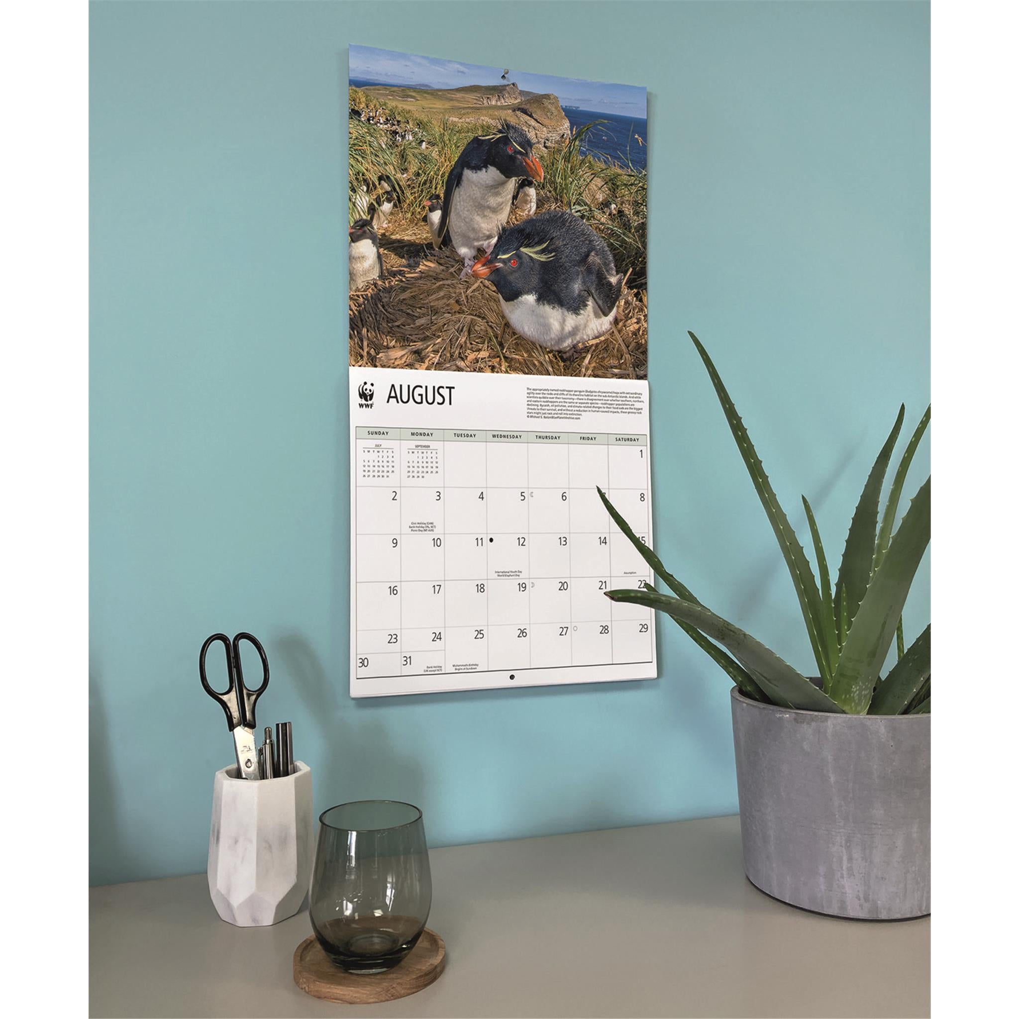 Calendrier mural 2026 des pingouins du Fonds mondial pour la nature