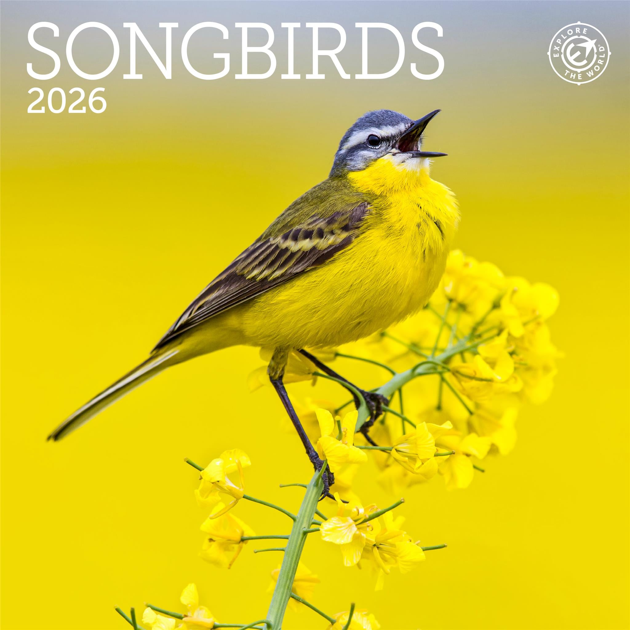 Mini-calendrier des oiseaux chanteurs 2026
