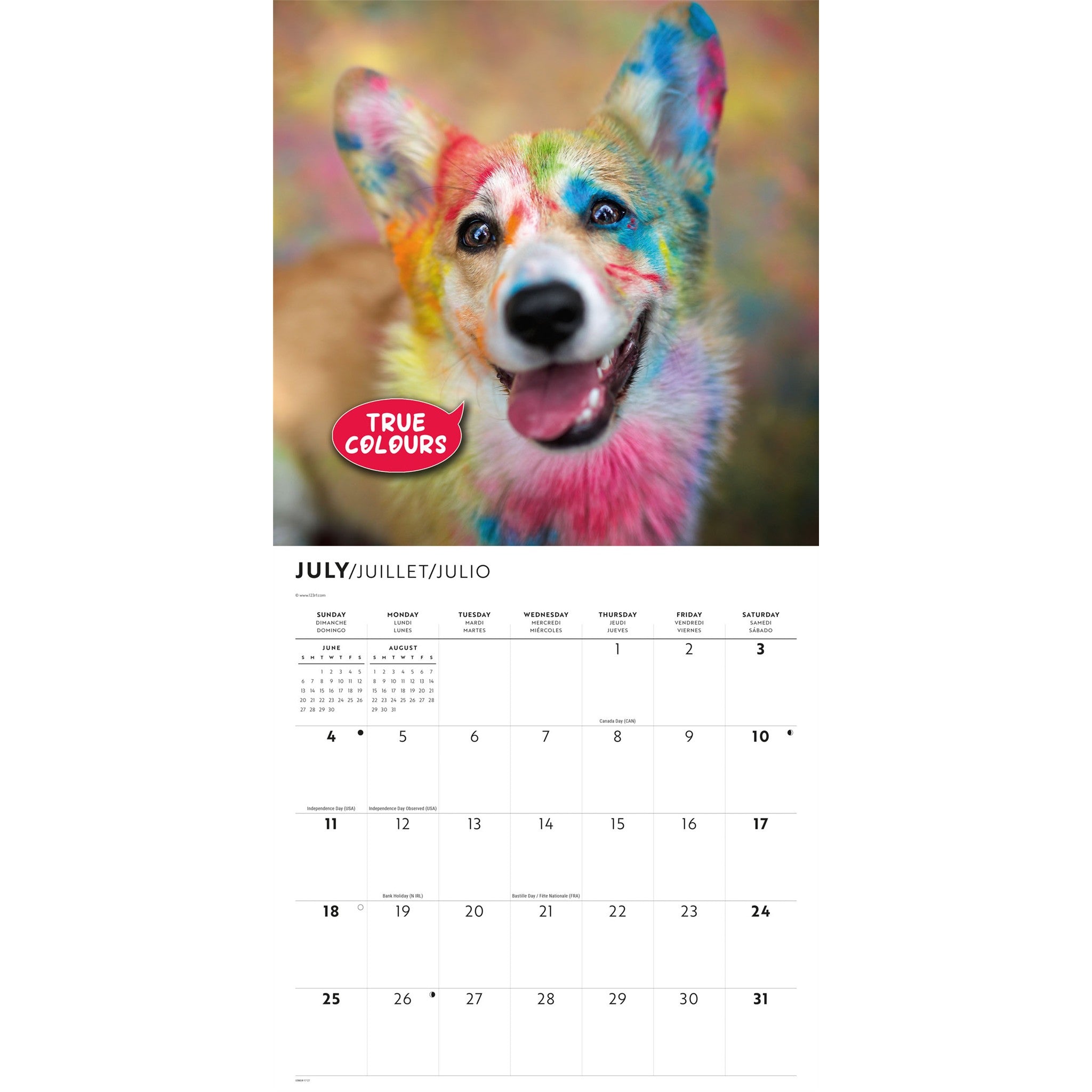 Calendrier mural Corgi Capers 2027
