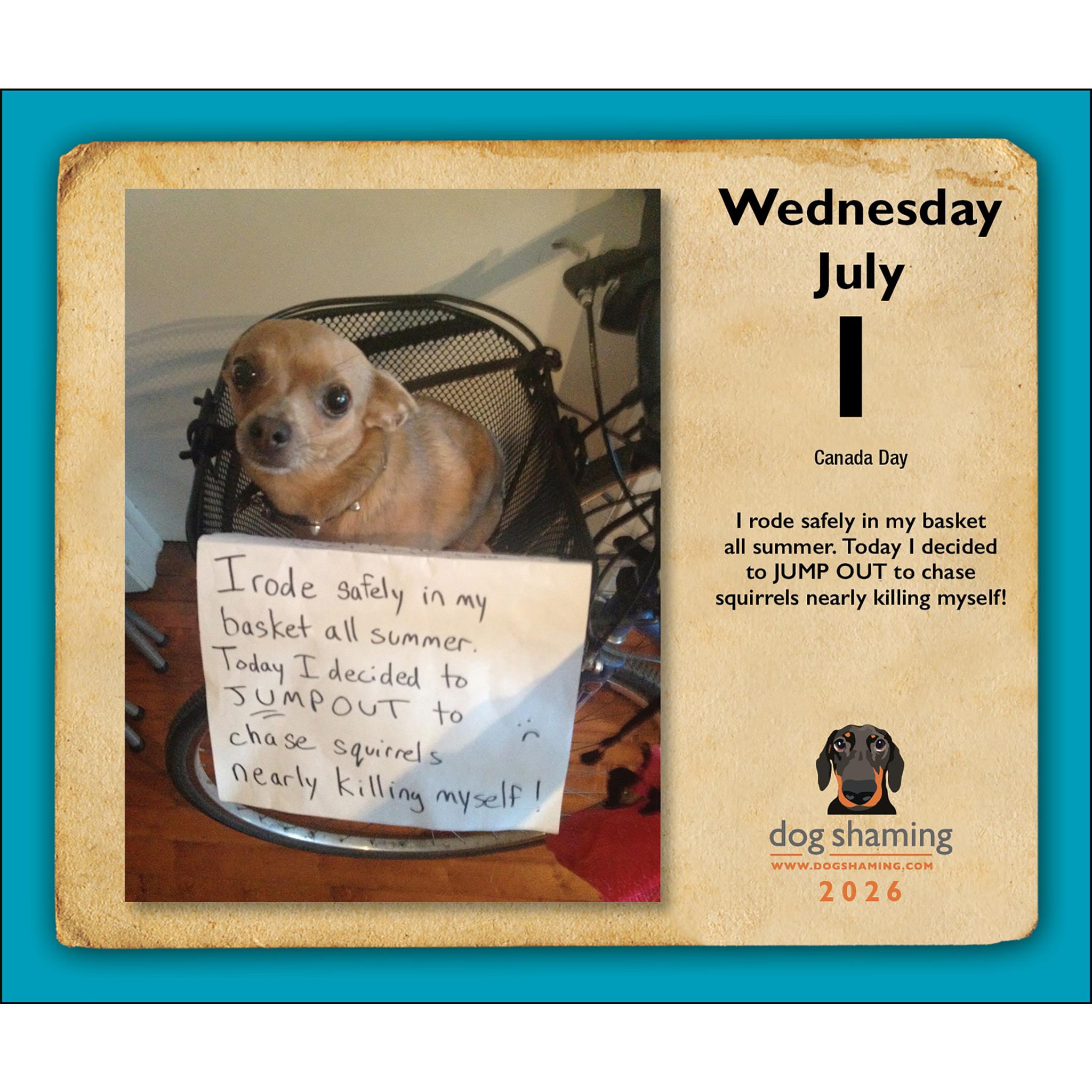 Dog Shaming 2026 Box Calendar