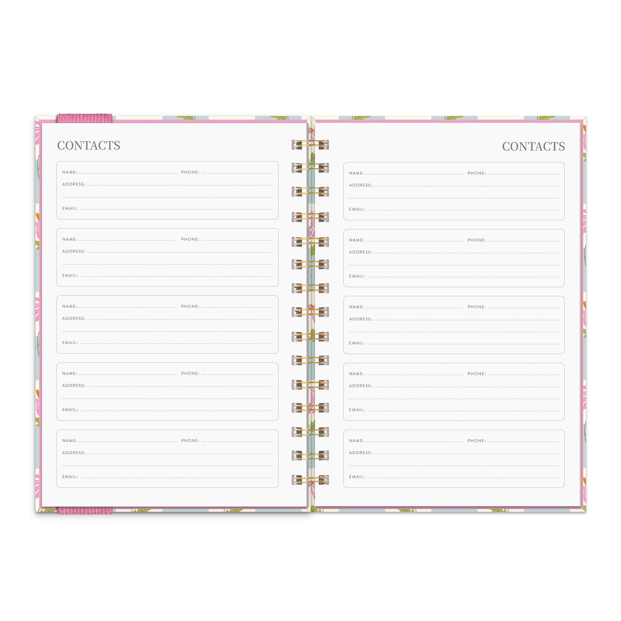 Calendrier des fiançailles Coneflower Corner Oliver 2025-2026