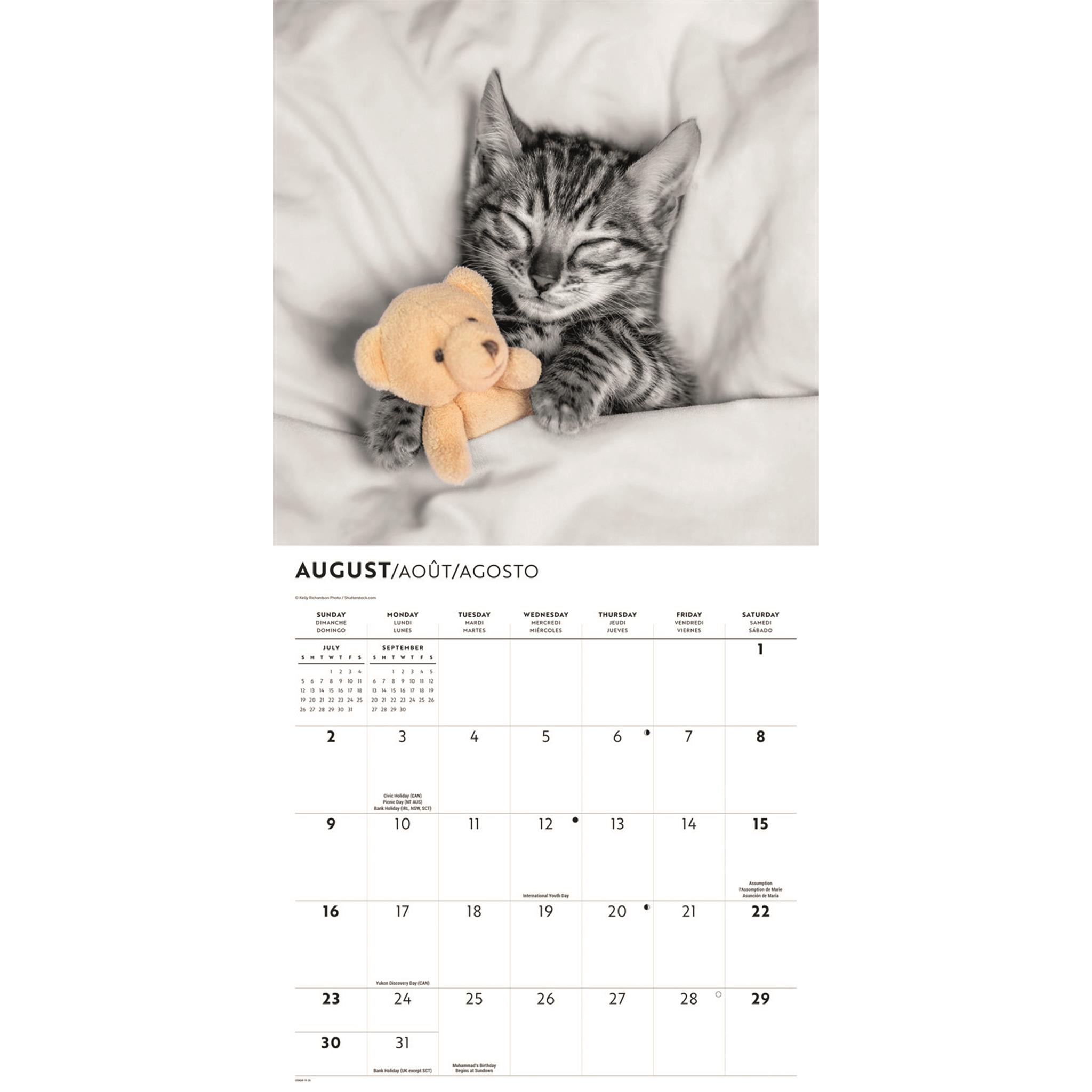 Calendrier mural Chats classiques 2026
