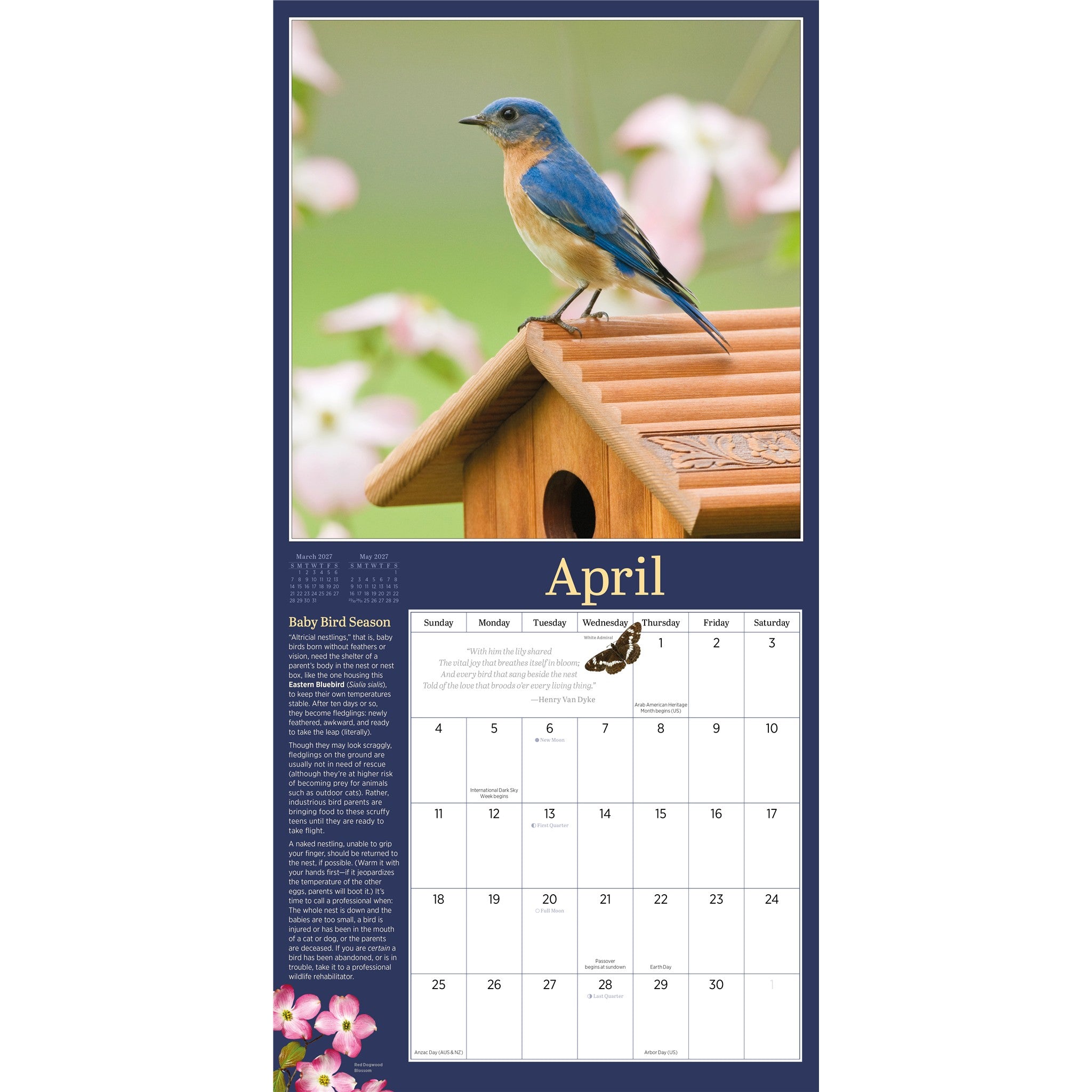 Audubon Birds in the Garden 2027 Wall Calendar