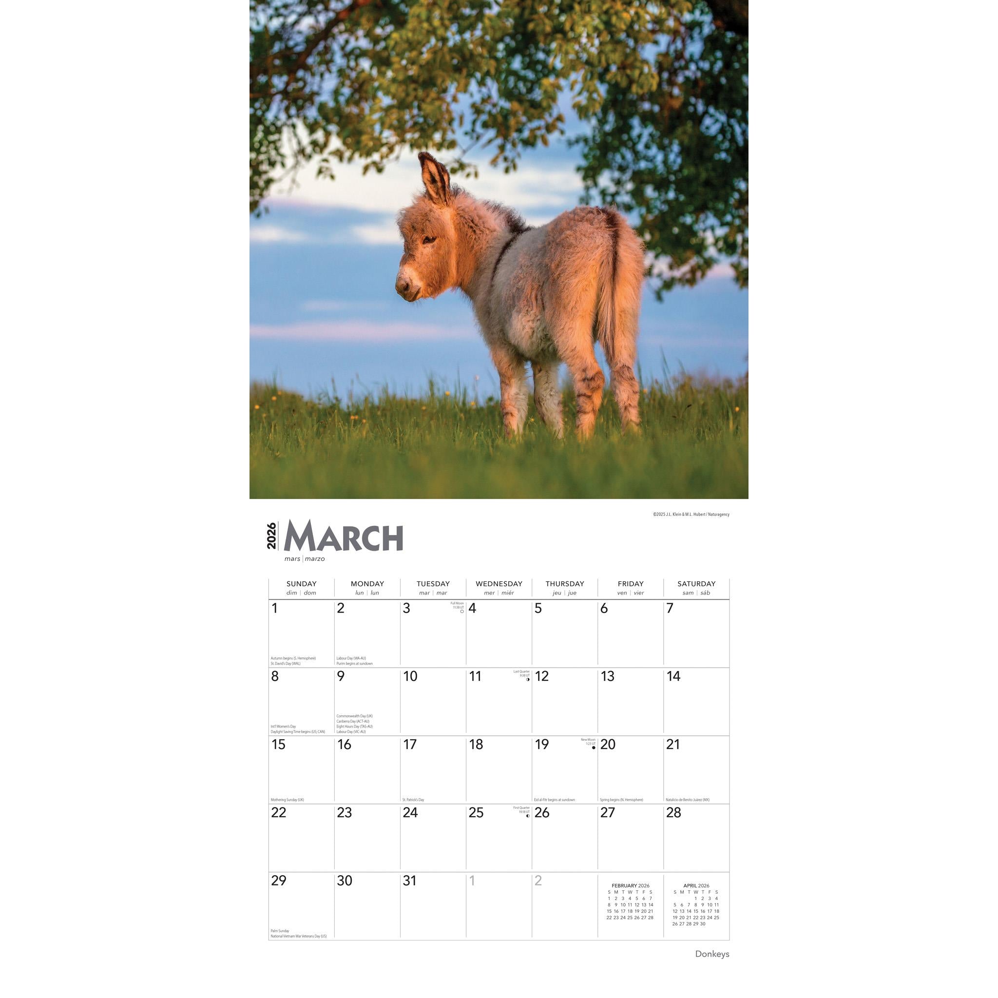 Donkeys 2026 Wall Calendar