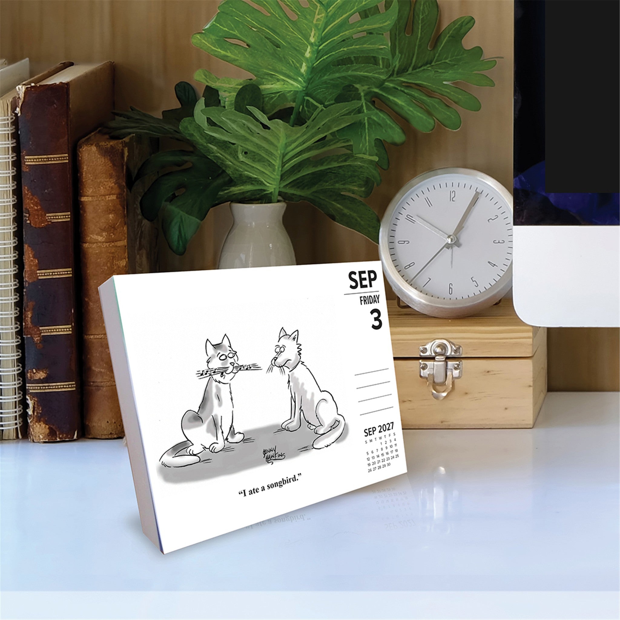 Cat Cartoon-A-Day by Jonny Hawkins 2027 Box Calendar