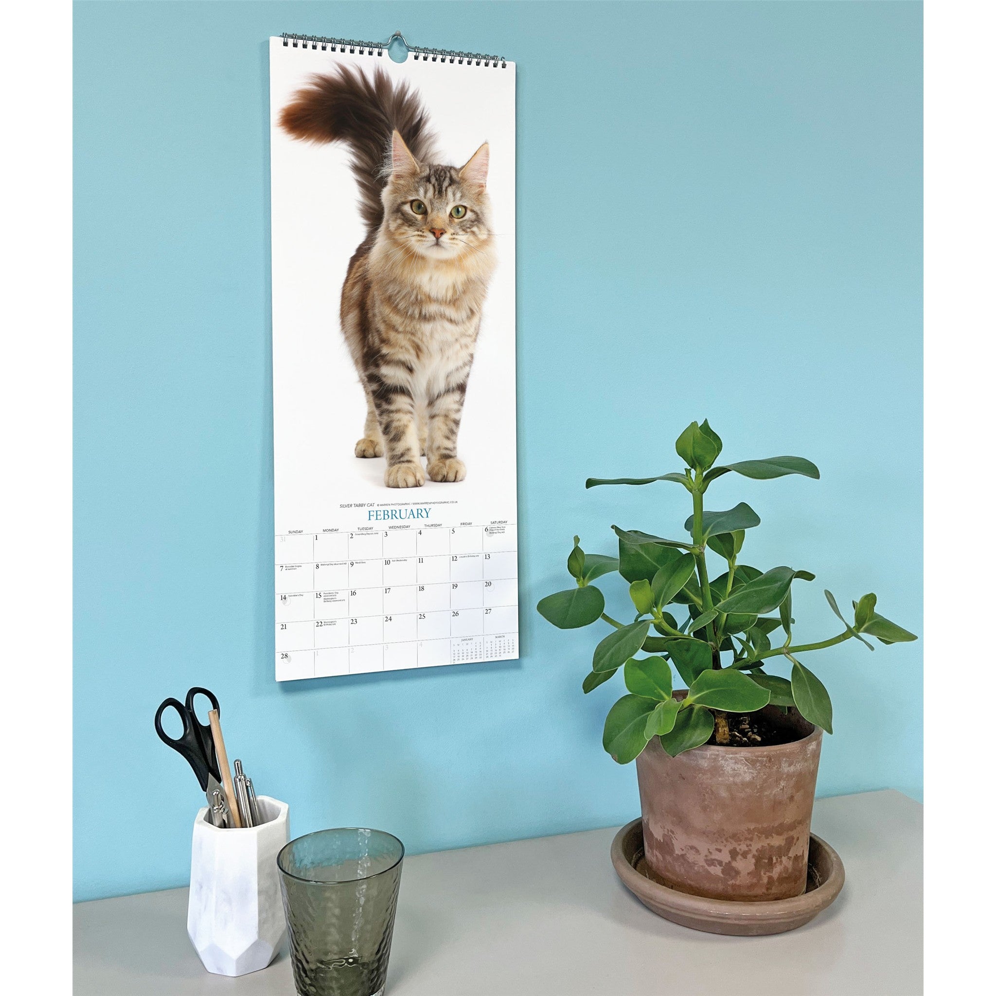 Cats 2027 Poster Calendar