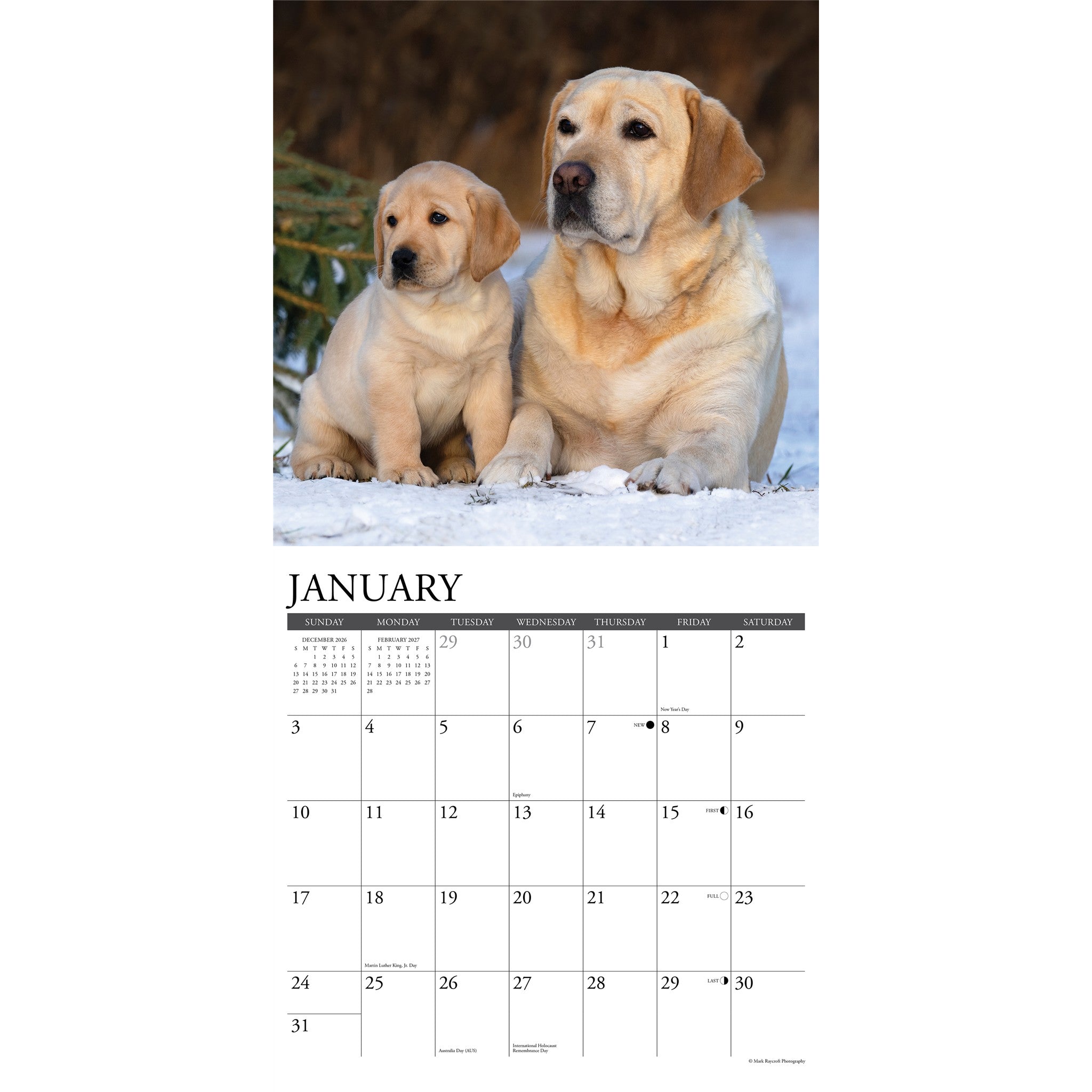 Labs 2027 Wall Calendar