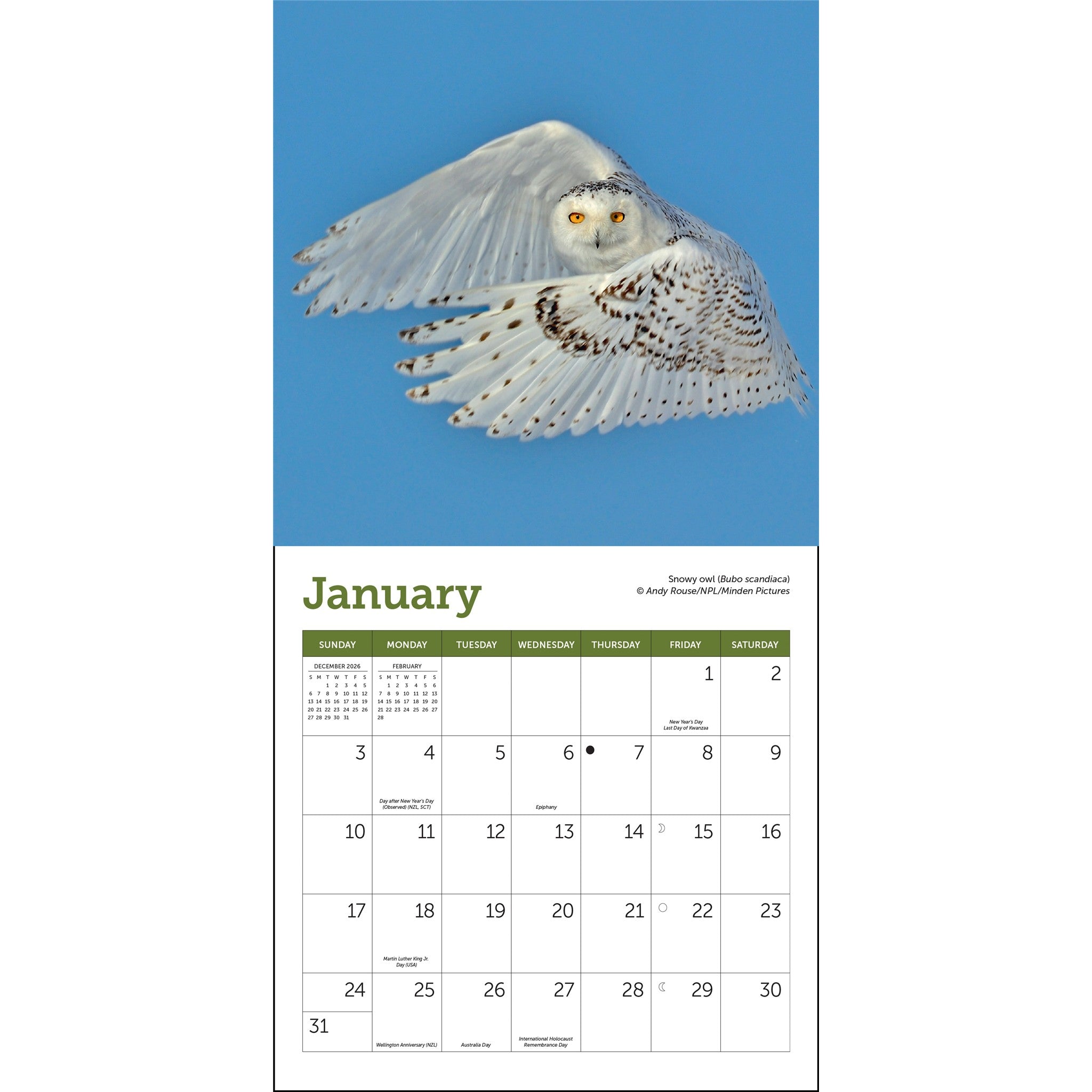 Mini-calendrier Hiboux 2027