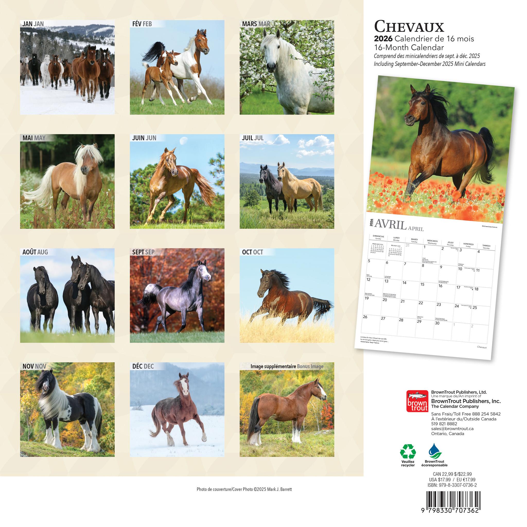 Calendrier mural Chevaux 2026 (français)