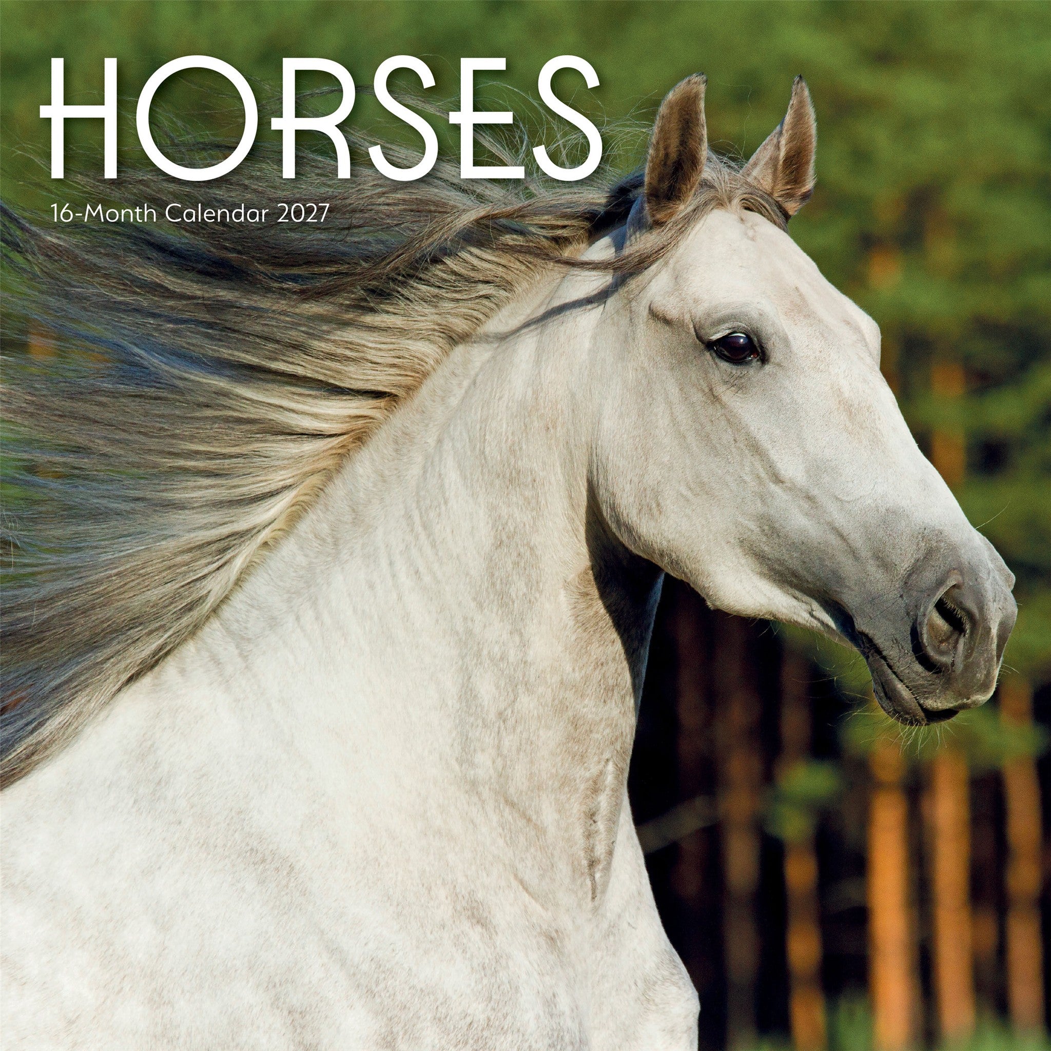 Calendrier mural Chevaux 2027
