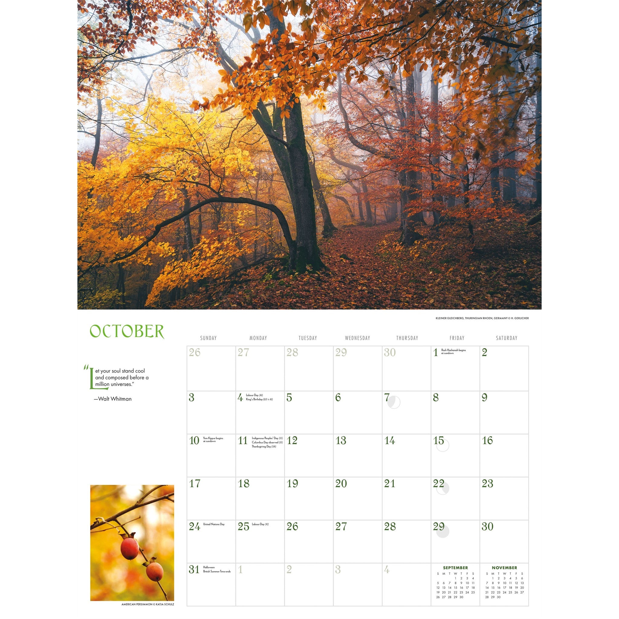 Calendrier mural Into the Woods 2027