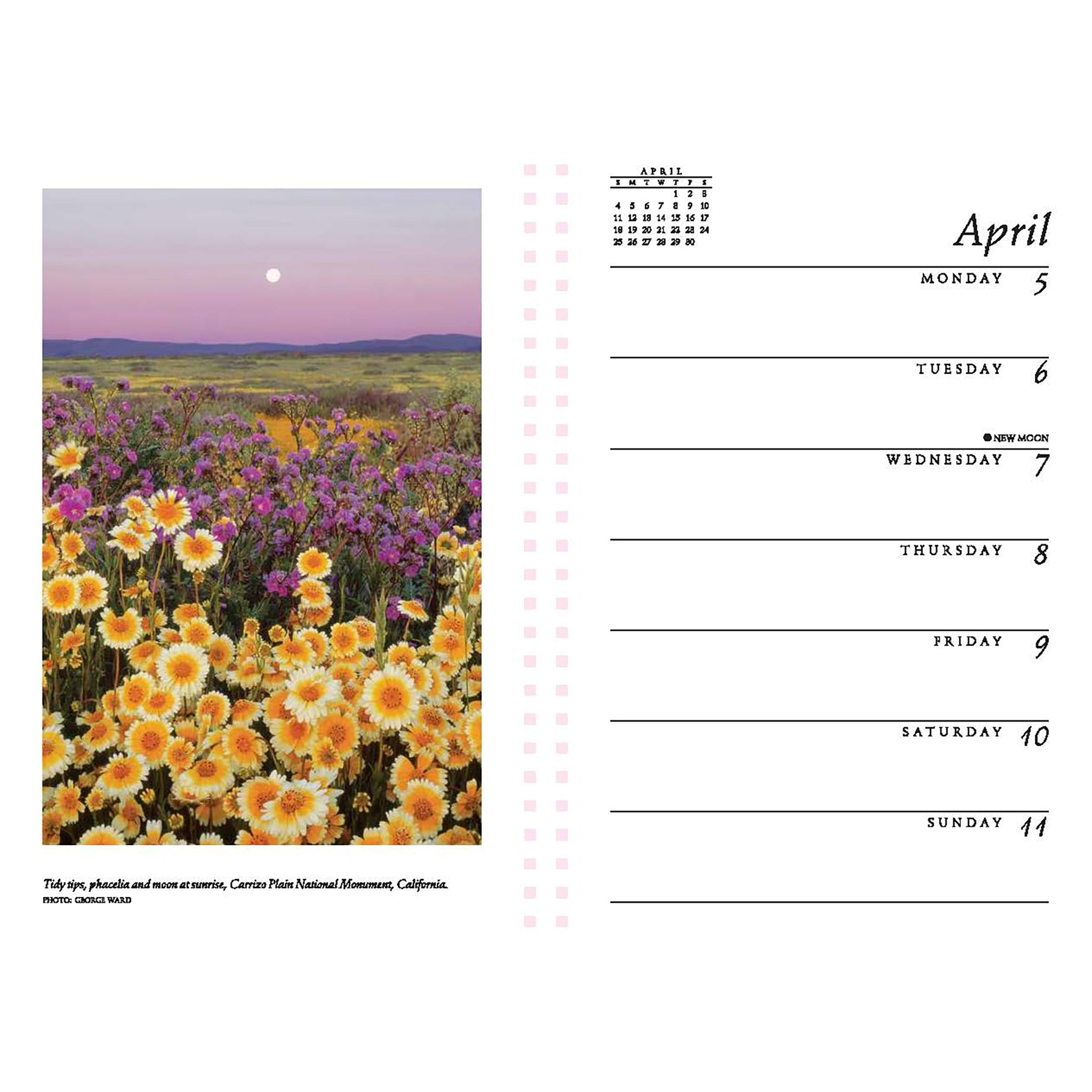 Sierra Club Wilderness 2027 Wall Calendar