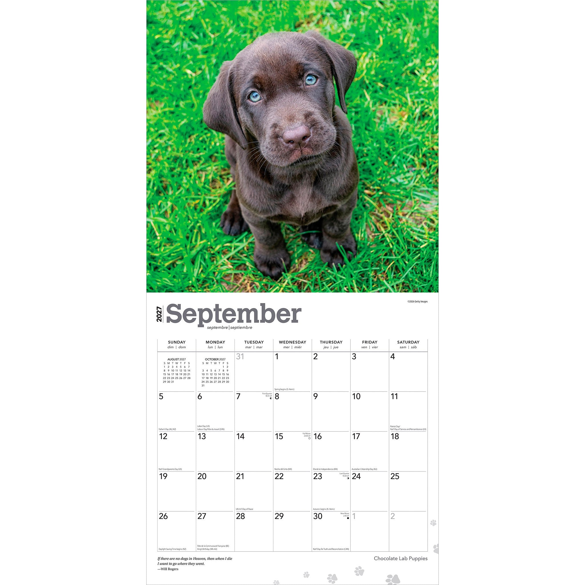 Chocolate Lab Puppies 2027 Wall Calendar