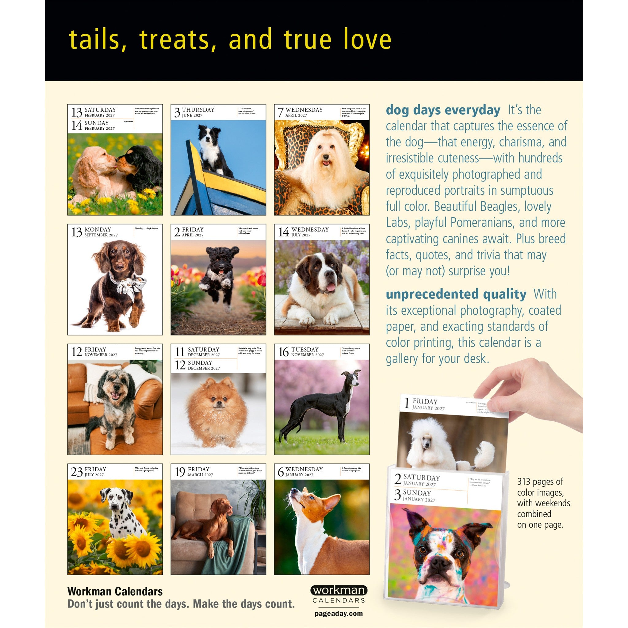 Dog Gallery 2027 Box Calendar