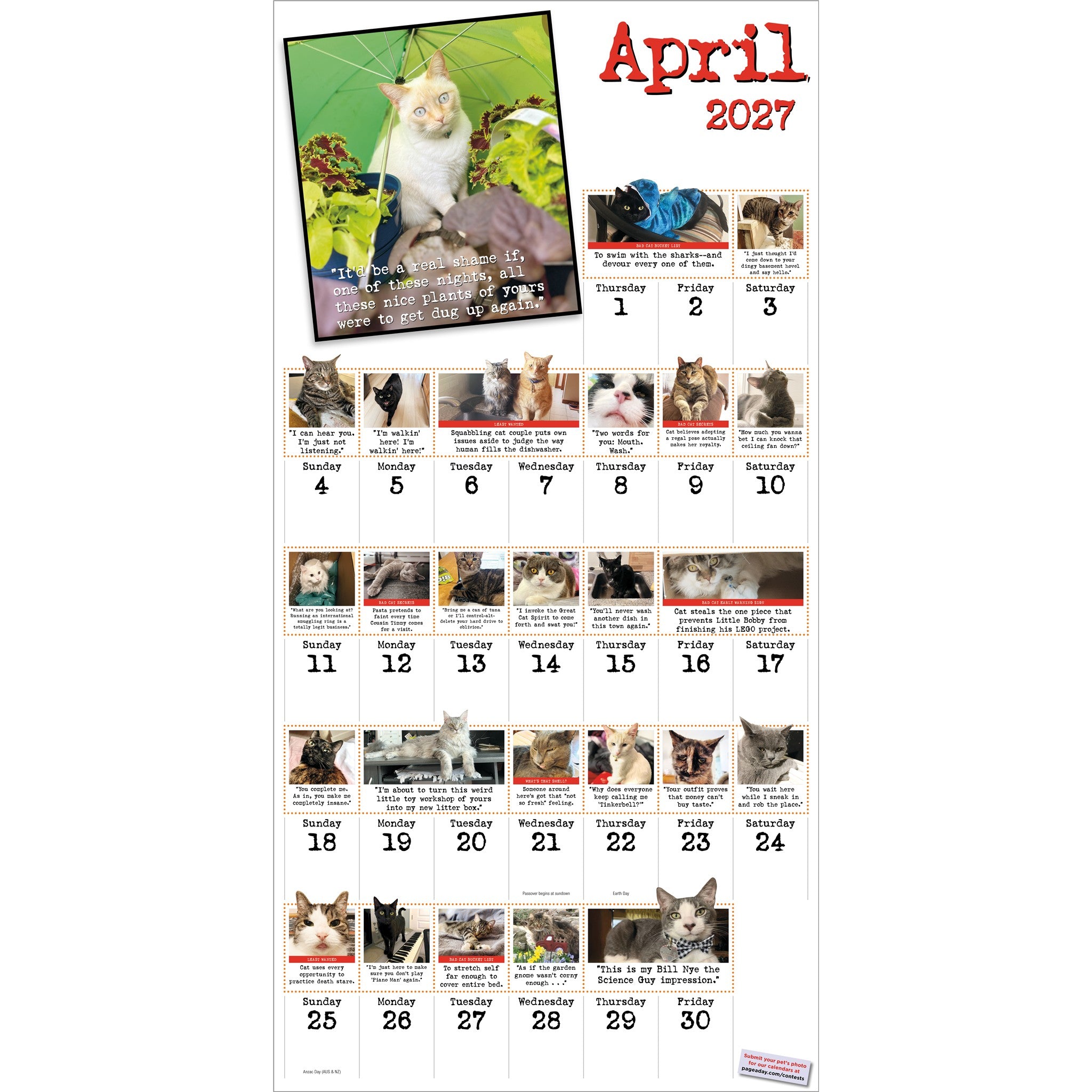 Bad Cat 2027 Wall Calendar - Online Only