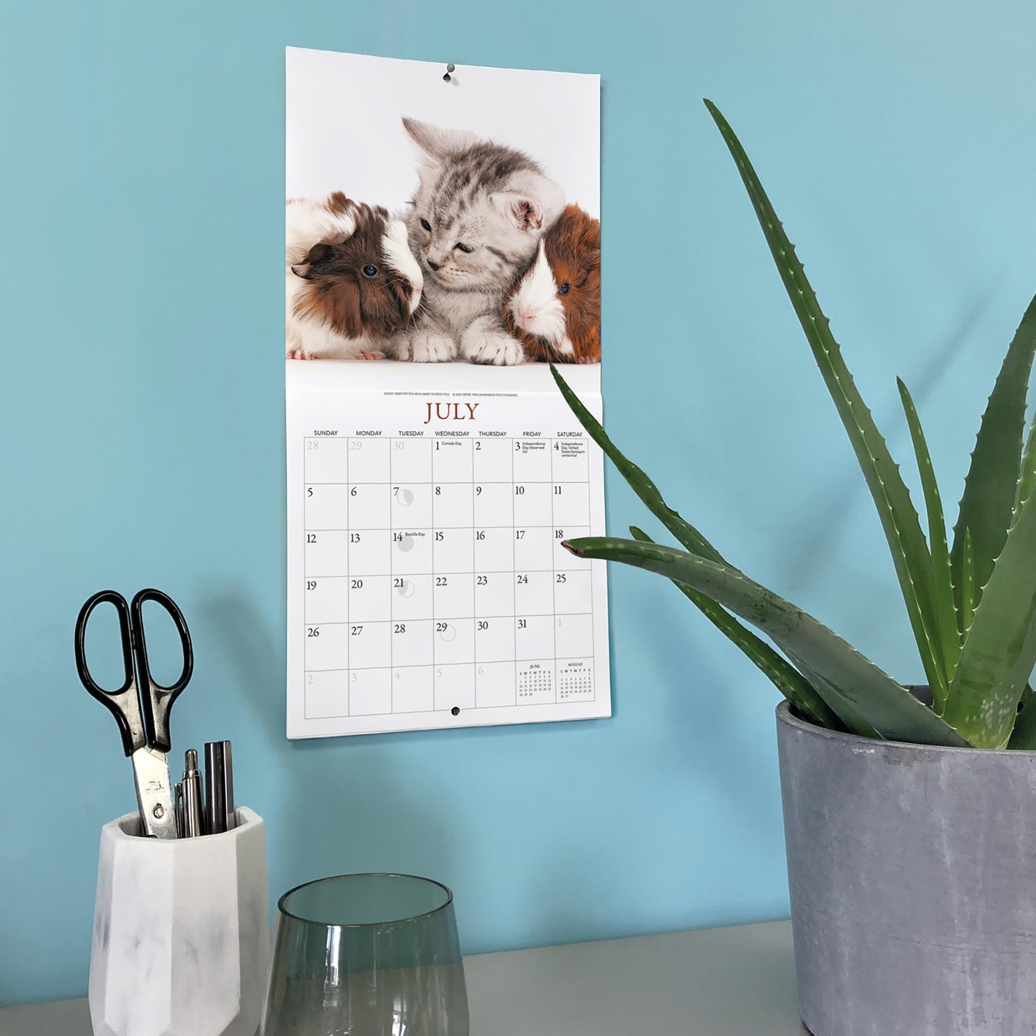 Kittens And Friends Mini  2026 Calendar