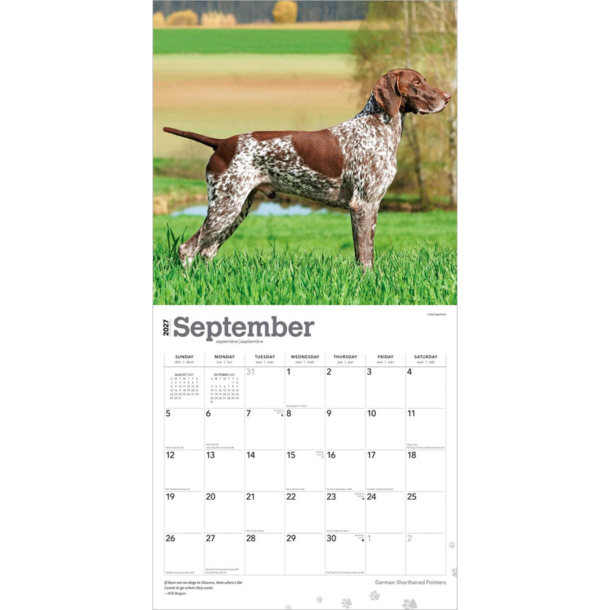 German Shorthaired Pointers 2027 Wall Calendar