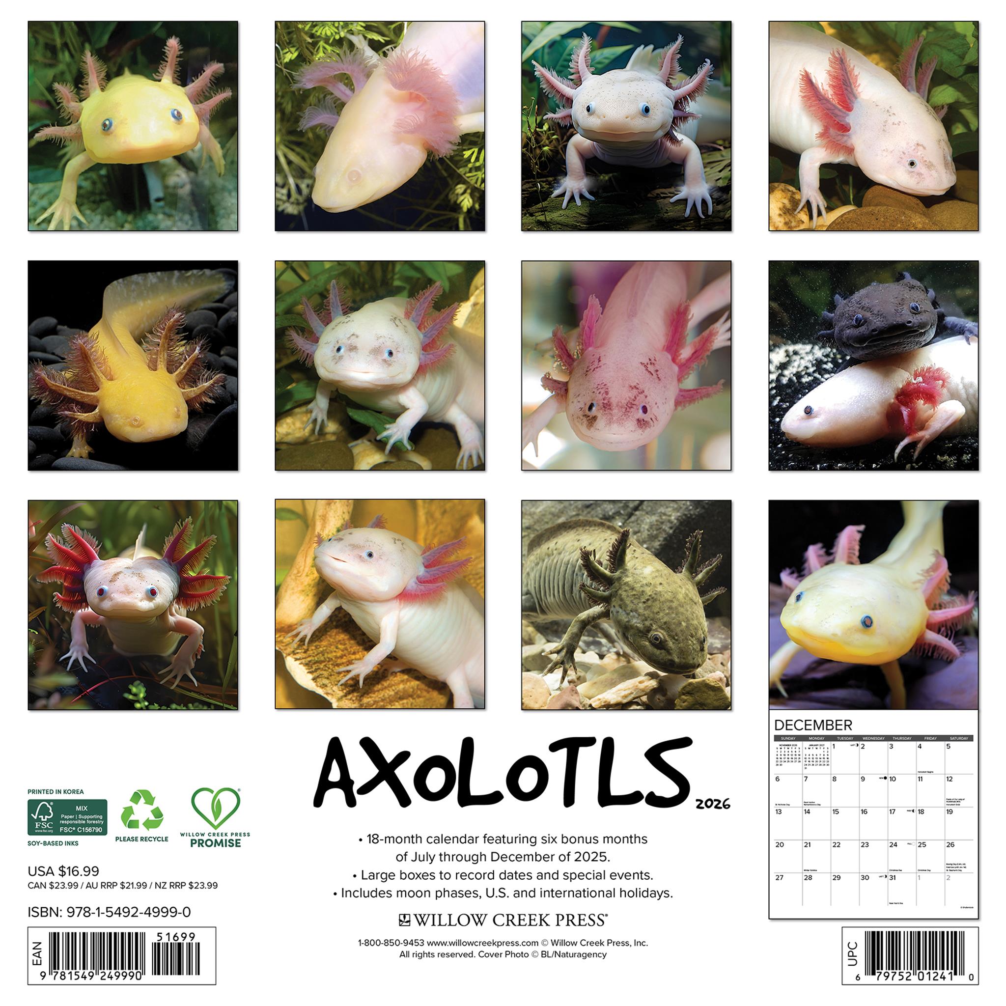Calendrier mural Axolotls 2026