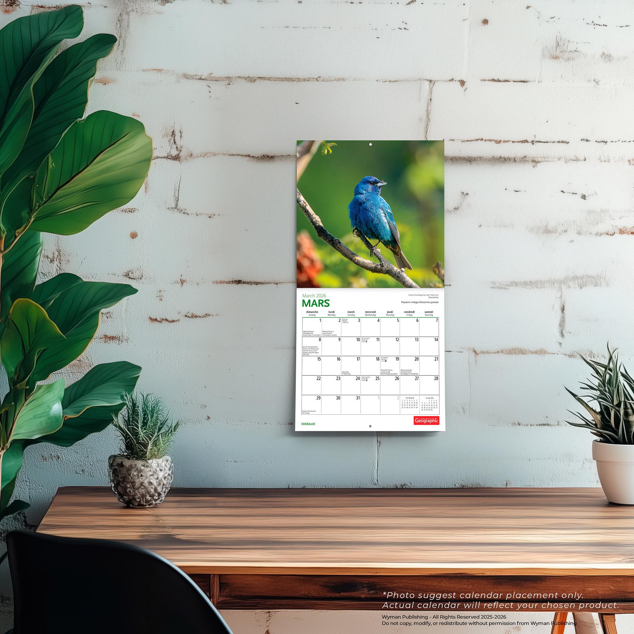 Canadian Geographic Oiseaux 2026 Mini Calendar (French)
