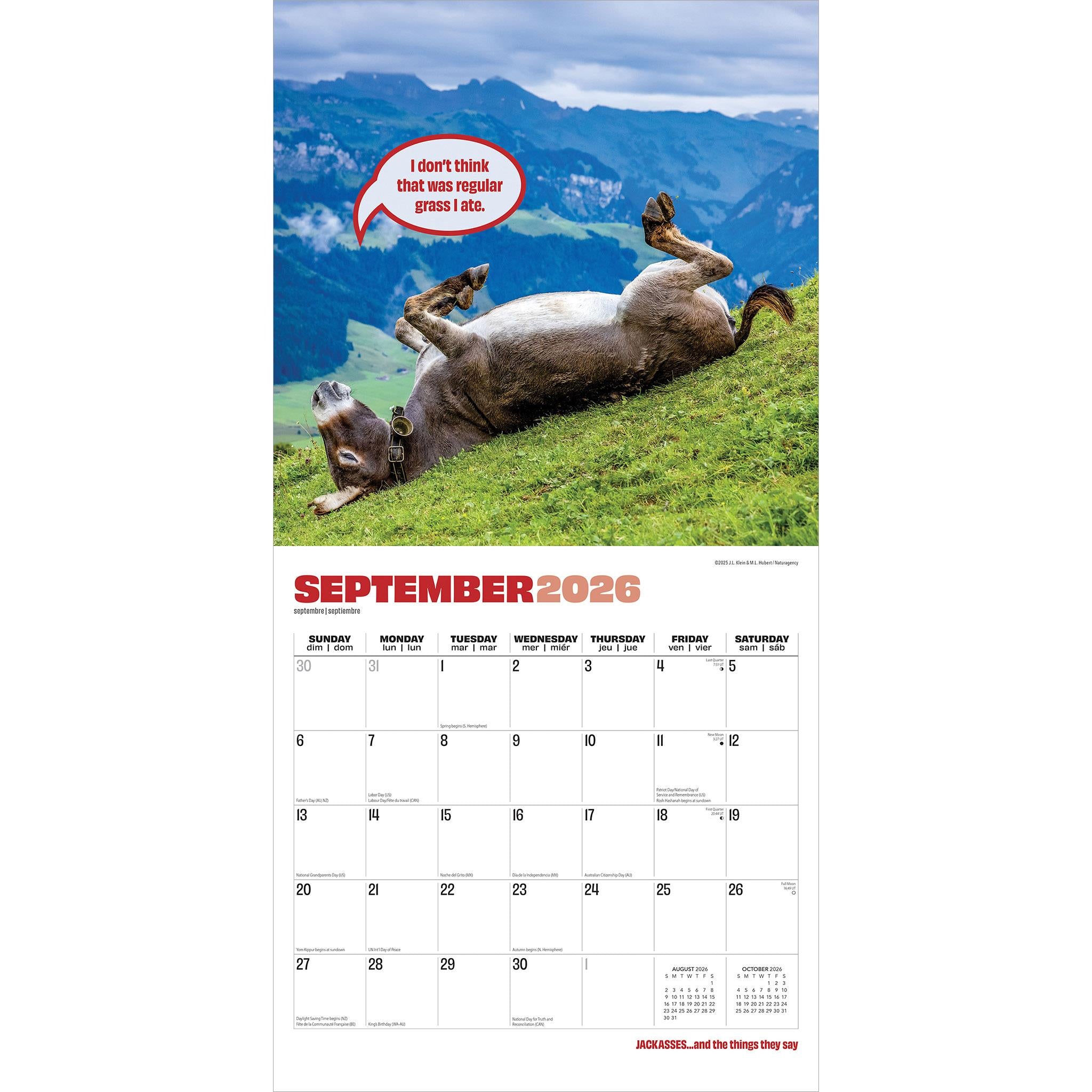 Jackasses 2026 Wall Calendar