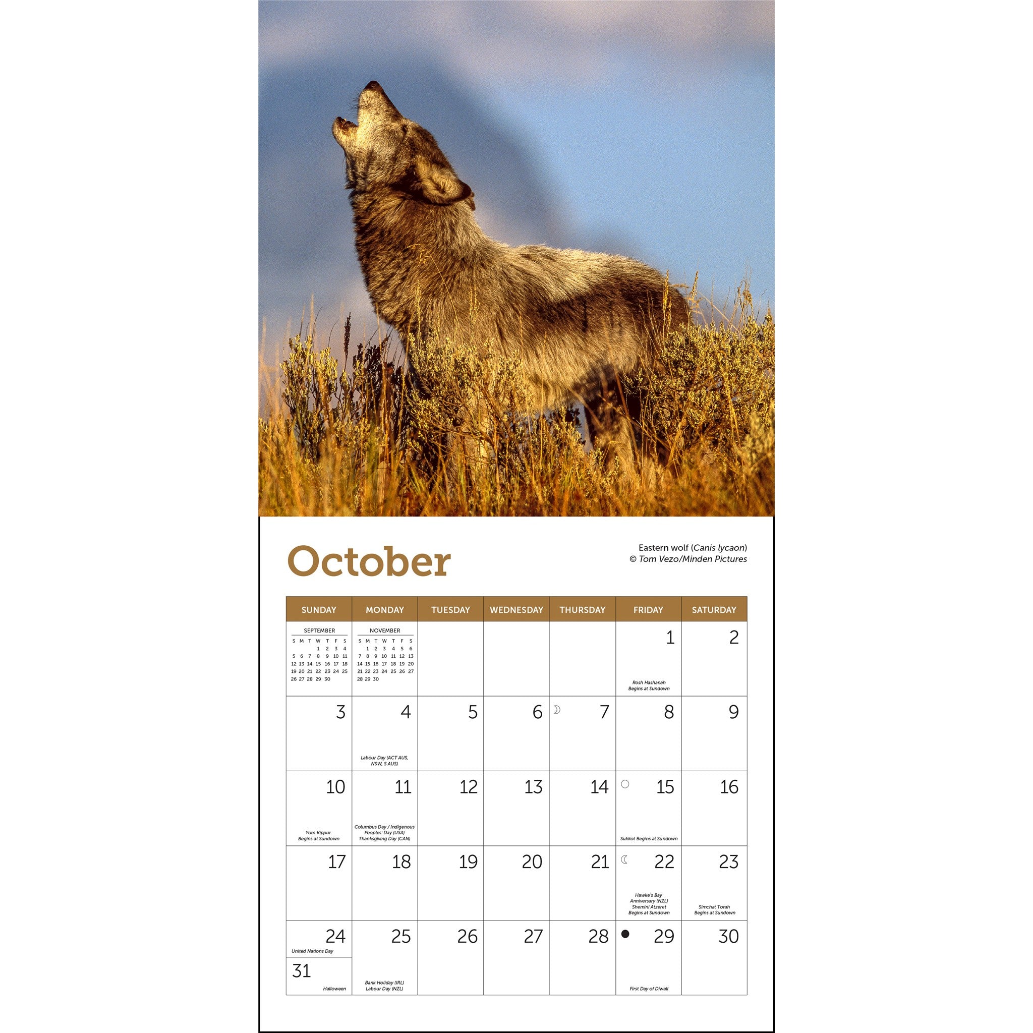 Mini Calendrier Loups 2027