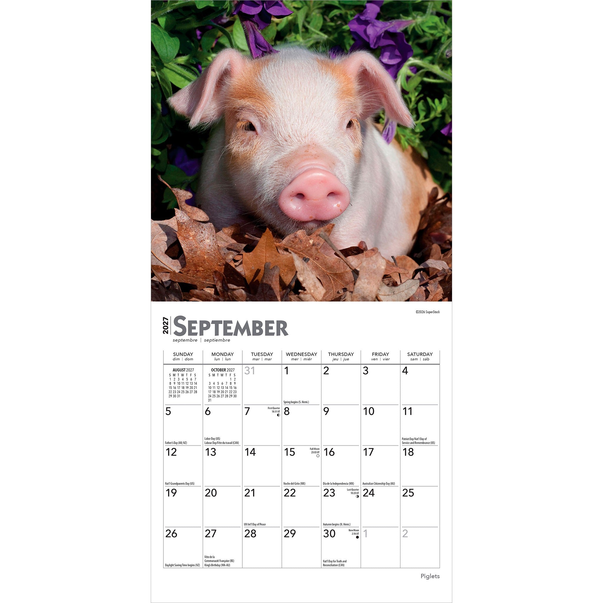 Piglets 2027 Mini Calendar