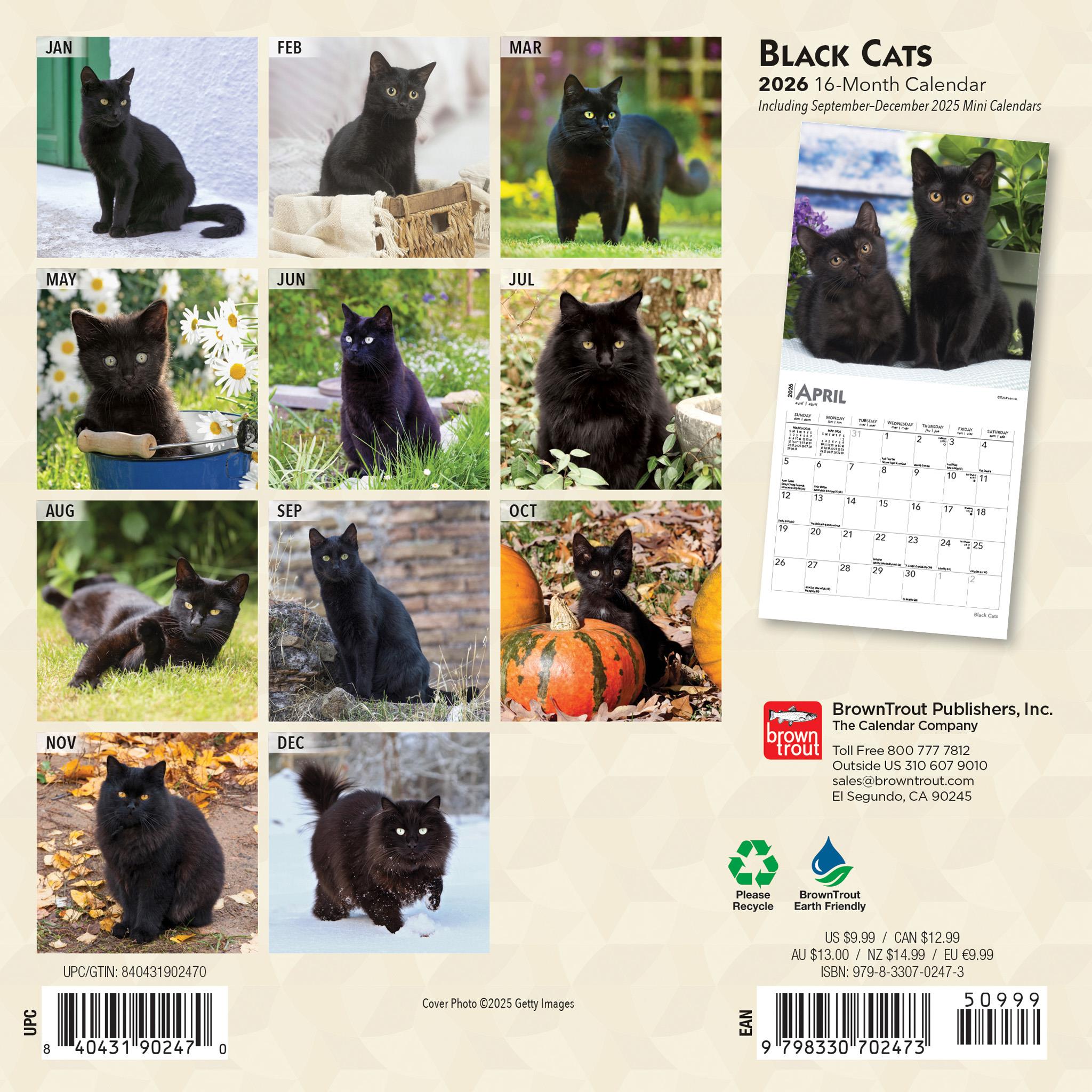 Mini-calendrier Chats Noirs 2026