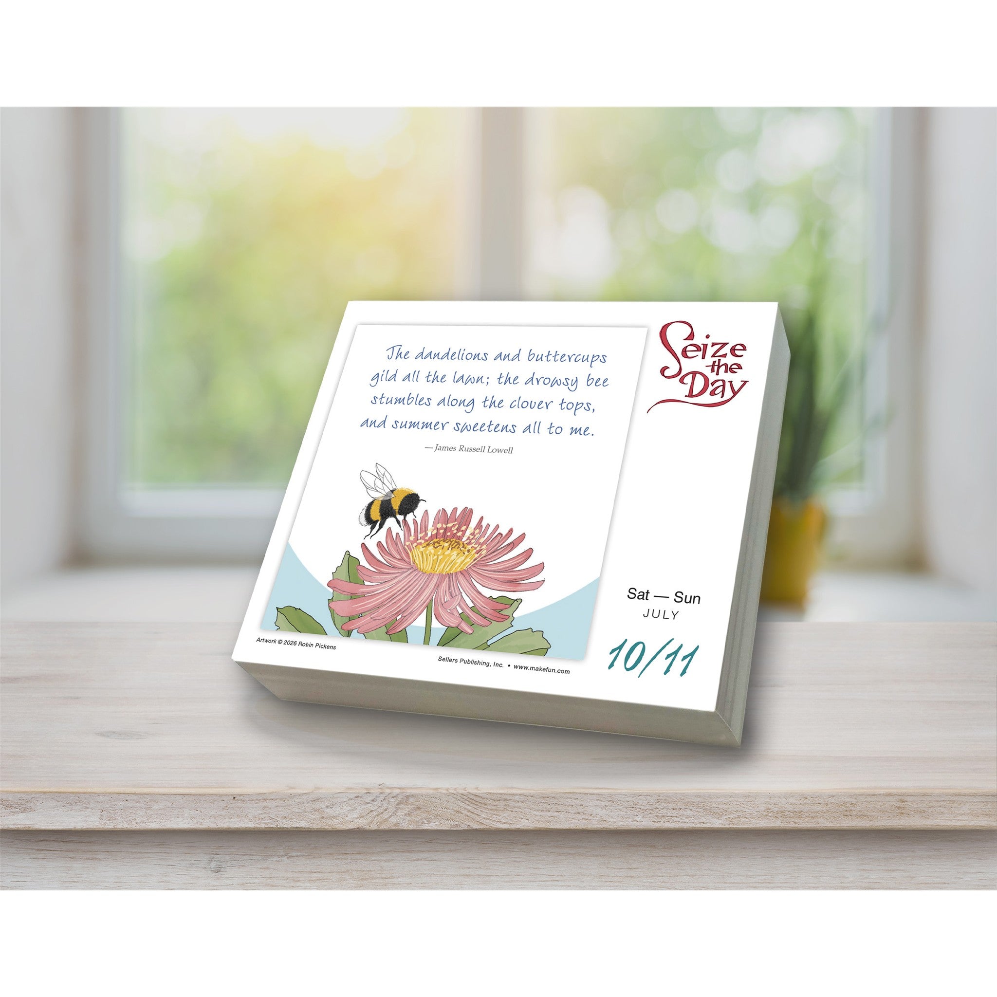 Seize the Day and Make it Yours 2027 Box Calendar