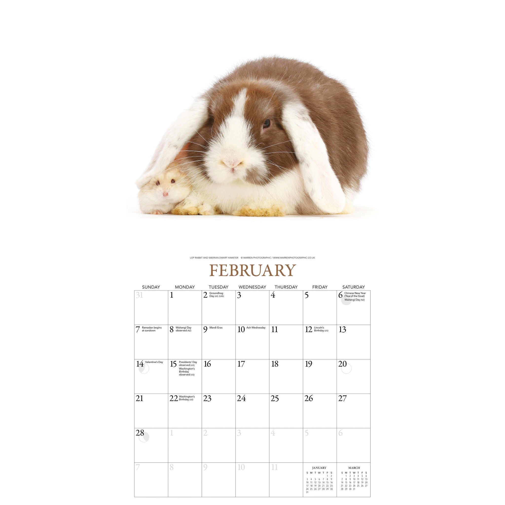 Calendrier mural 2027 Lapins et amis