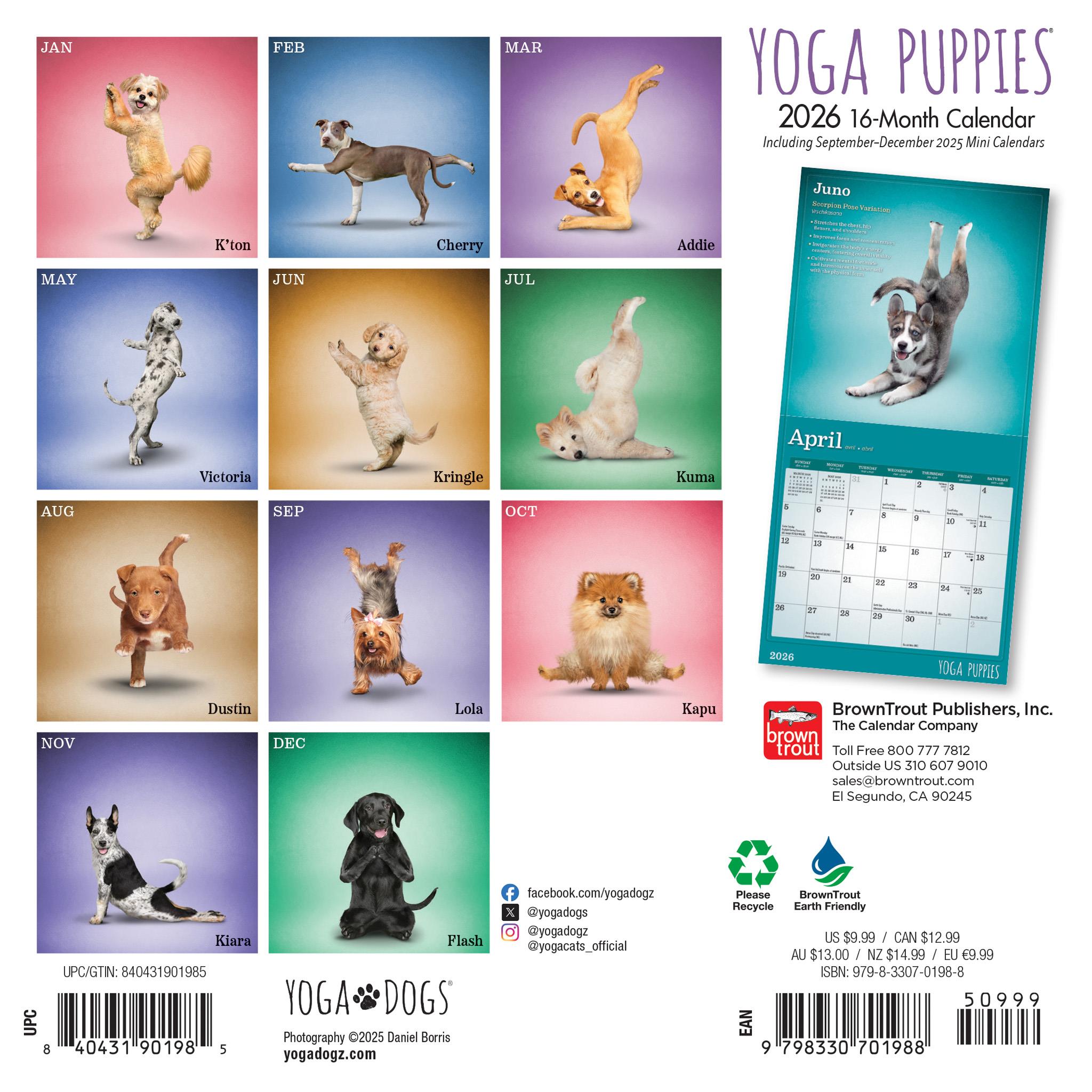 Mini calendrier Yoga Puppies 2026