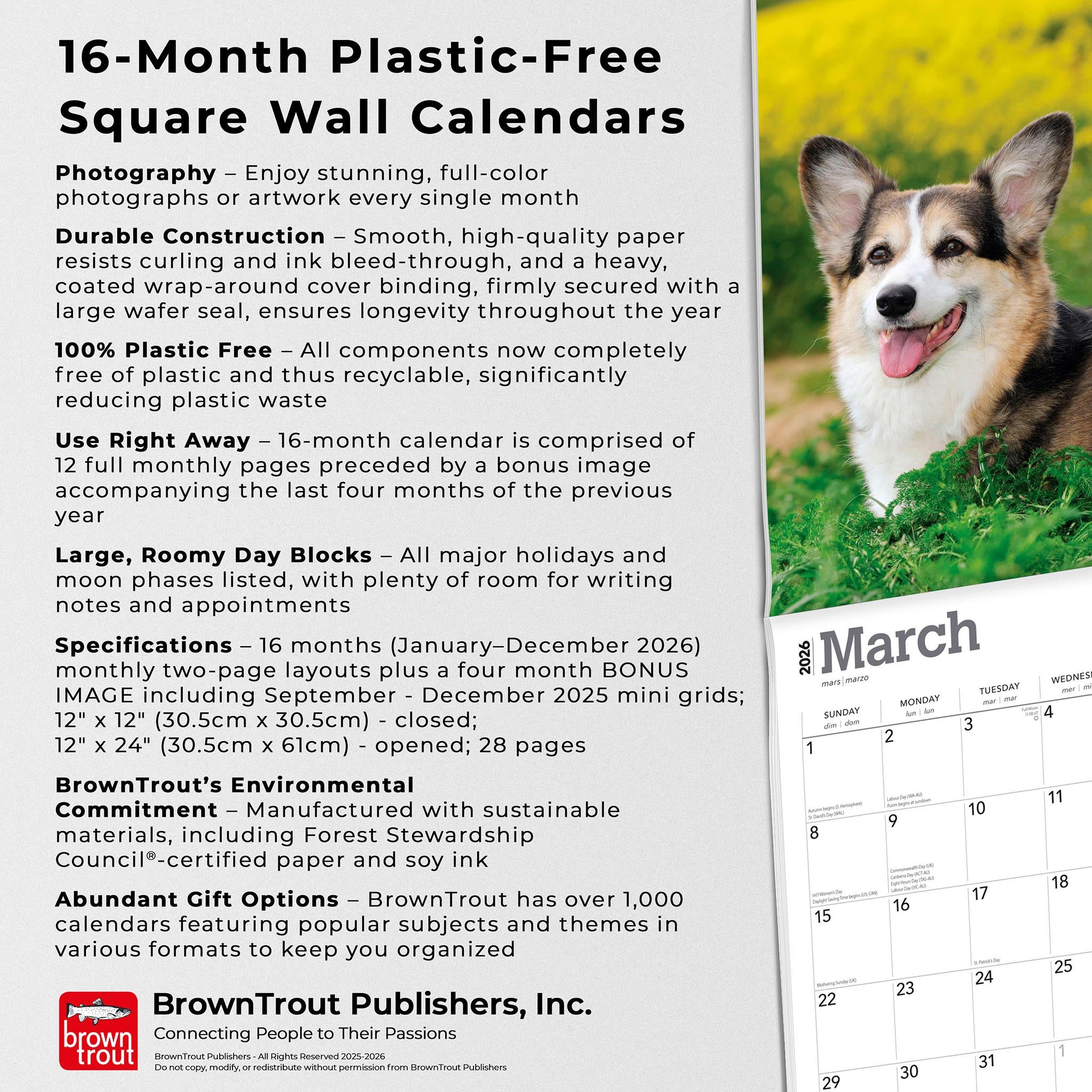 Calendrier mural 2026 Welsh Corgis Pembroke - Disponible uniquement en ligne