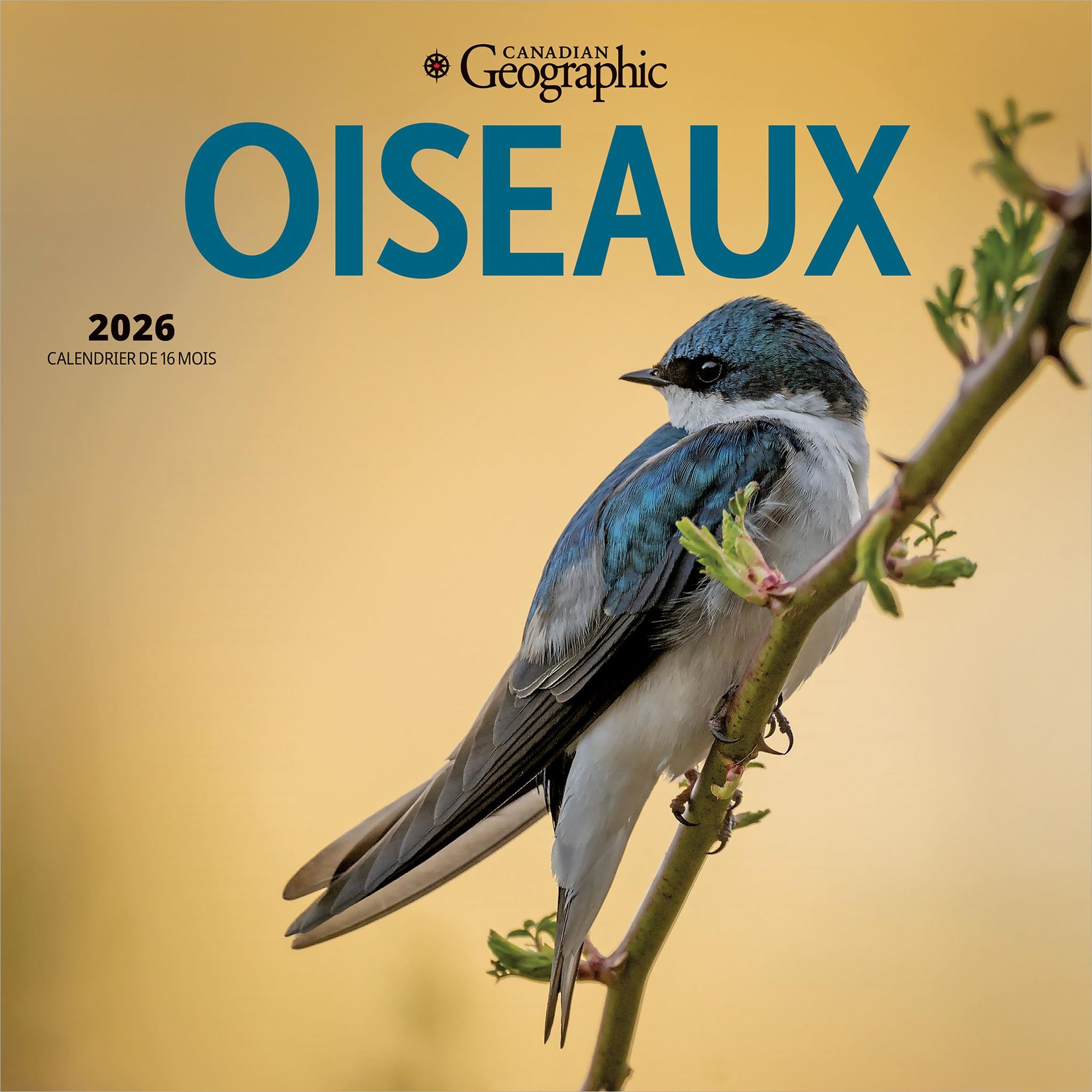 Mini-calendrier Oiseaux 2026 de Canadian Geographic (français)