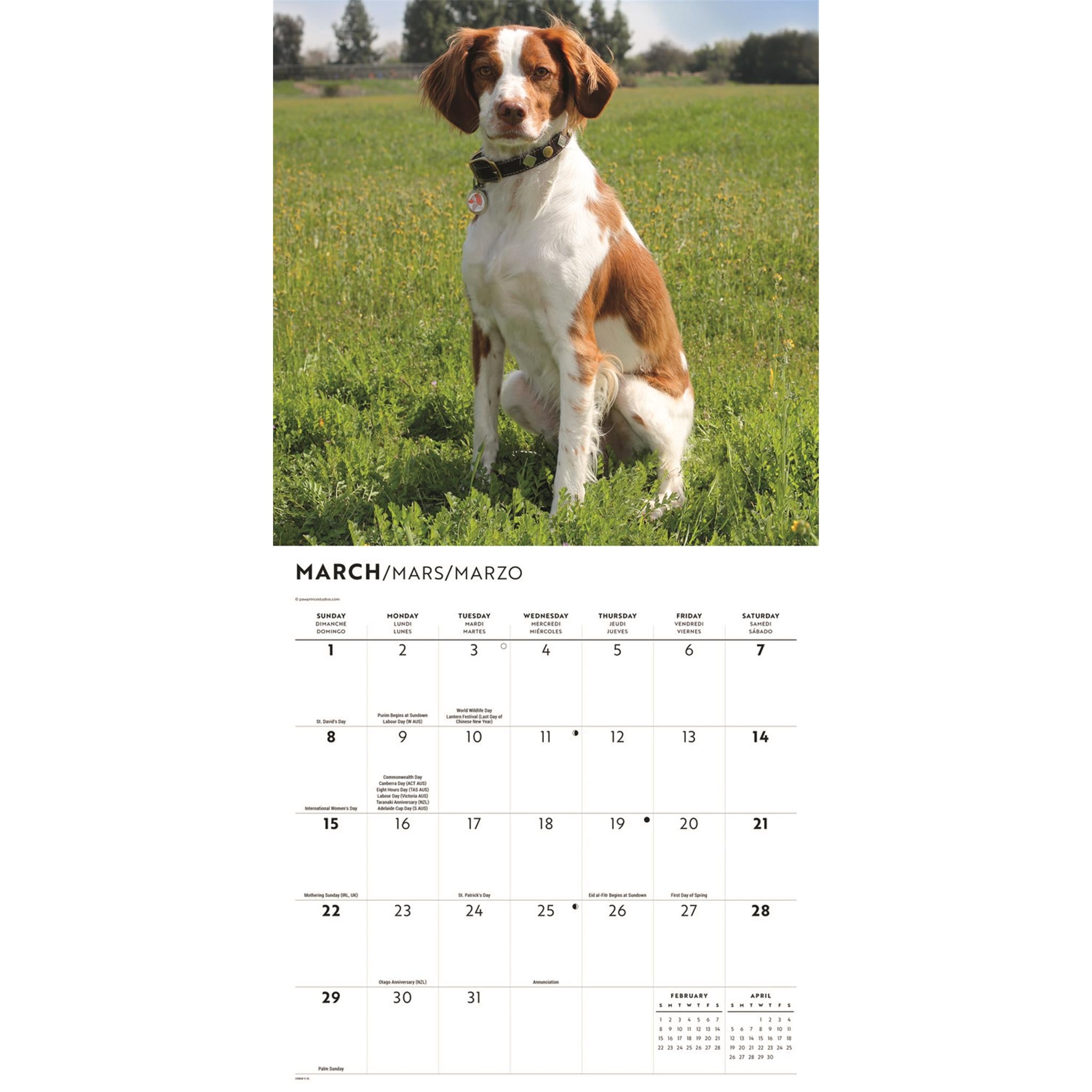 Brittanys 2026 Wall Calendar