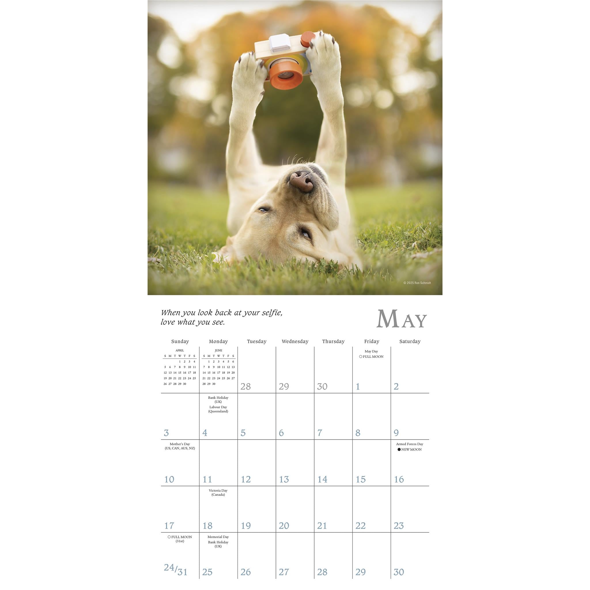 Mini-calendrier Dogma 2026