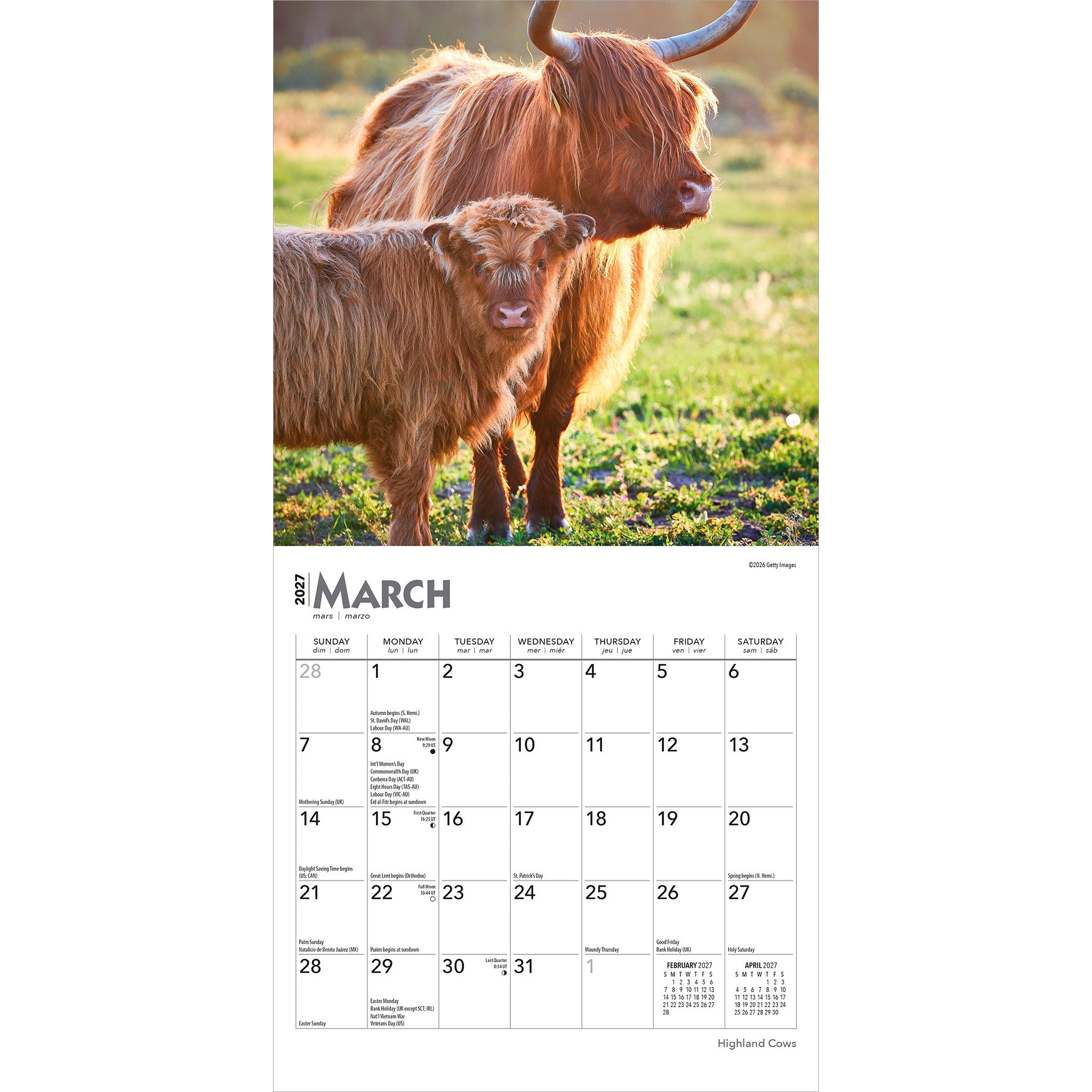 Highland Cows 2027 Mini Calendar