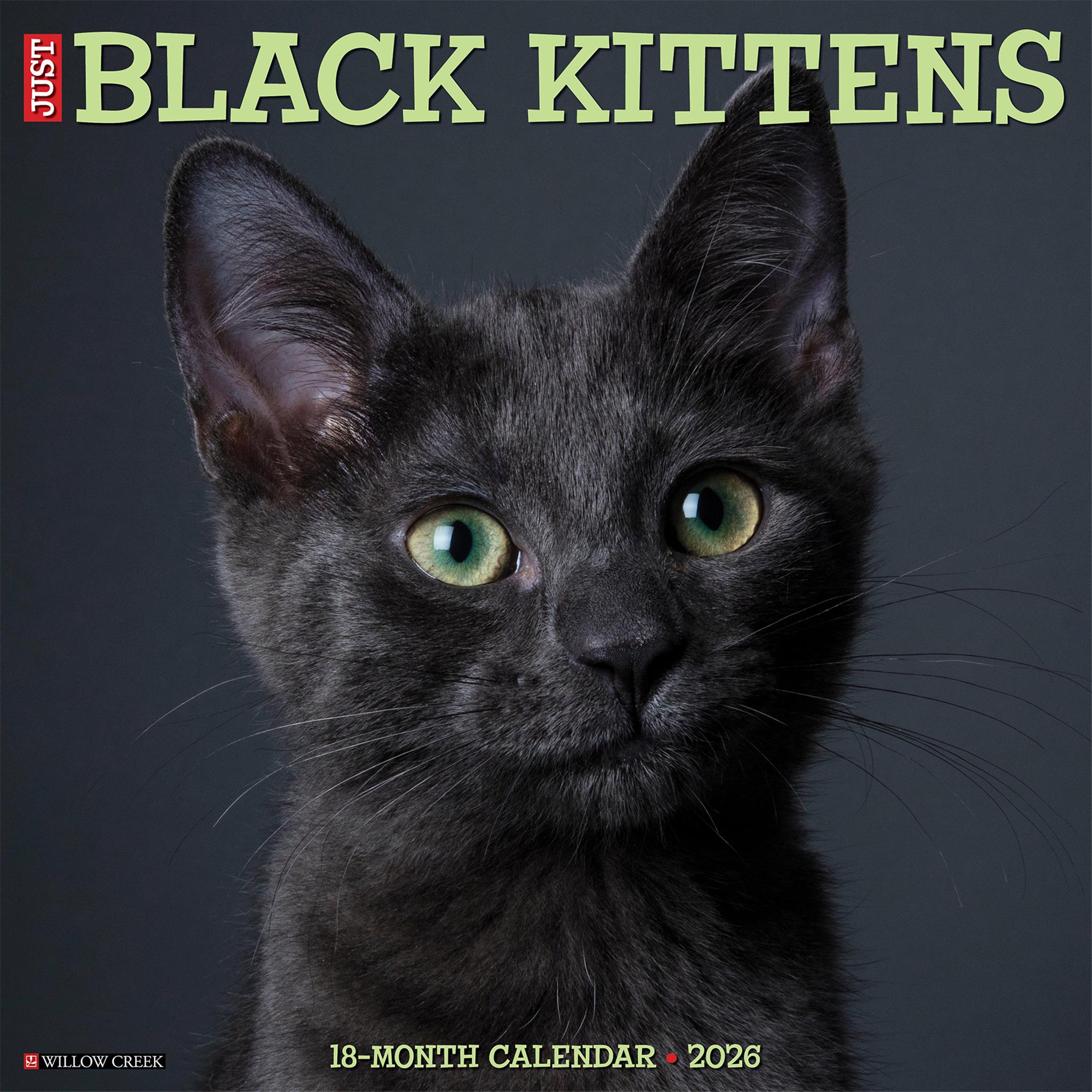 Calendrier mural 2026 « Just Black Kittens » - Disponible uniquement en ligne
