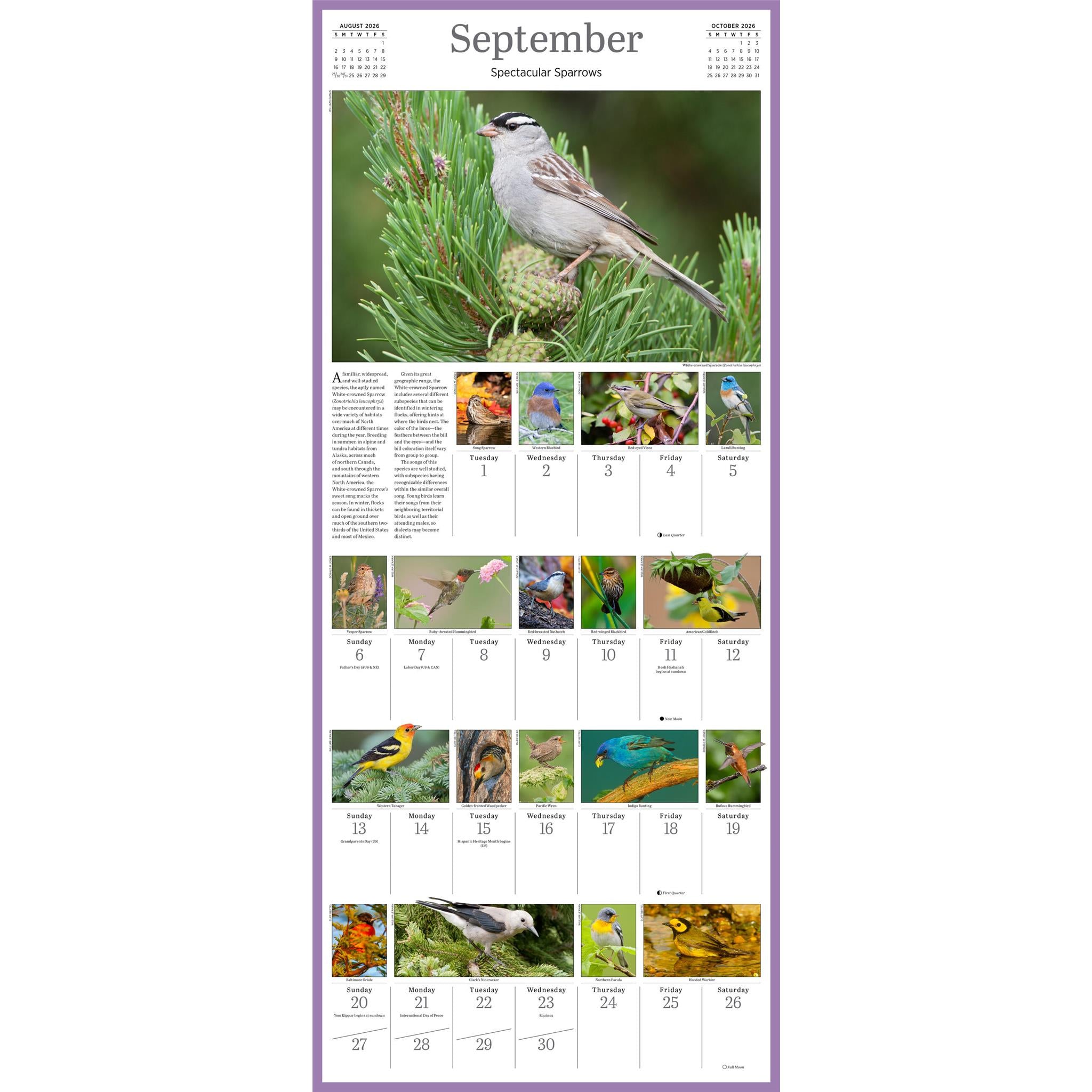 Calendrier mural Audubon Songbirds 365 2026