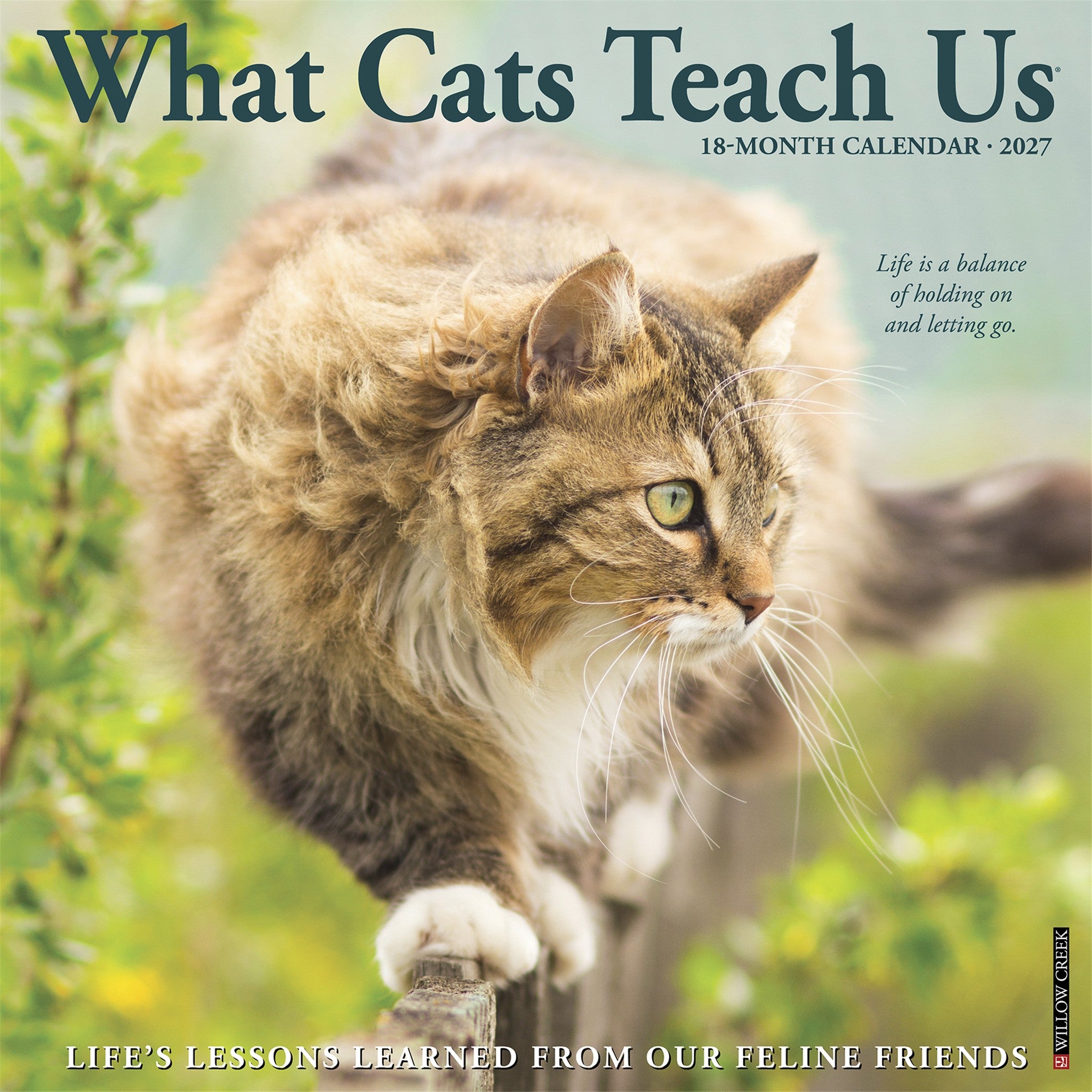 What Cats Teach Us 2027 Wall Calendar