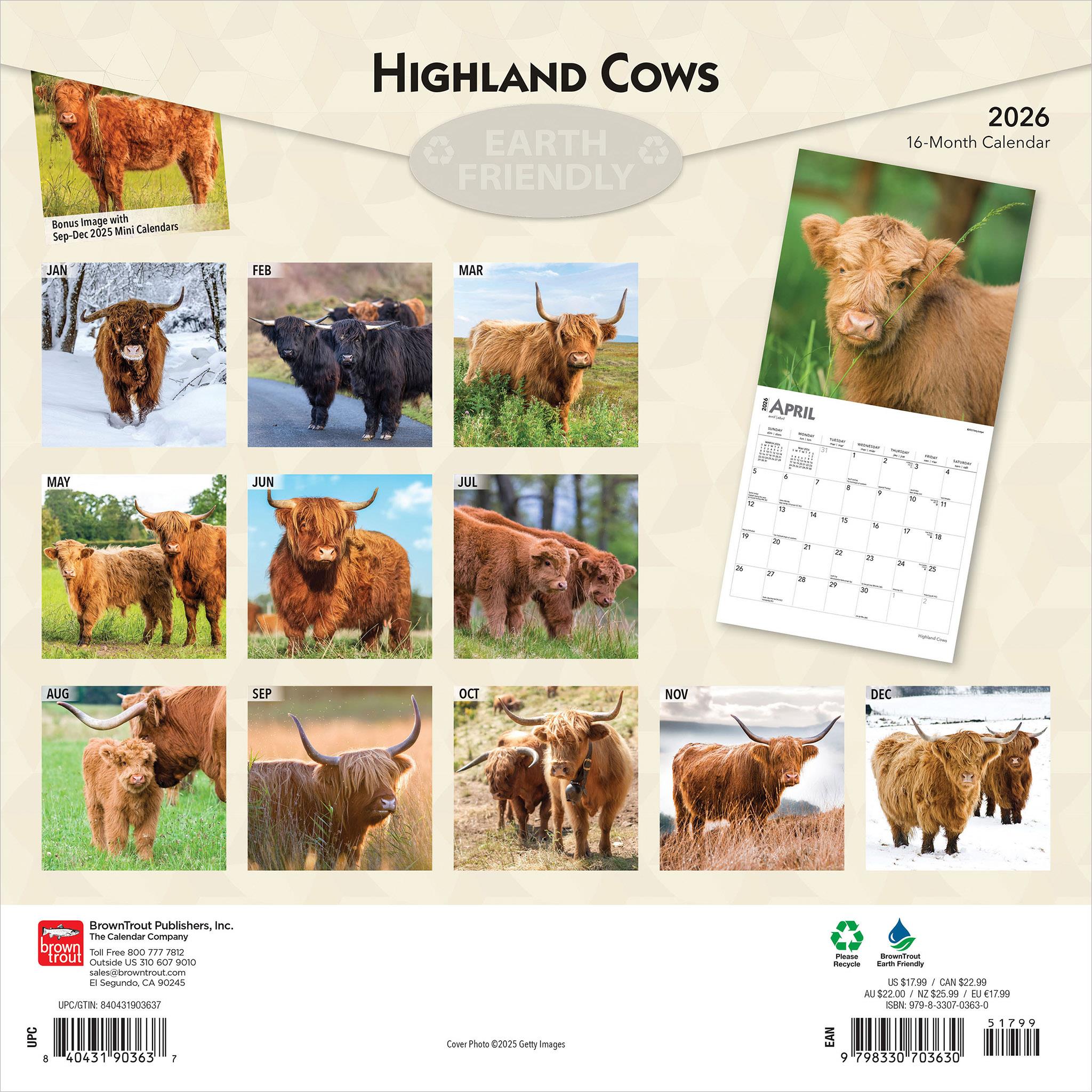 Calendrier mural des vaches des Highlands 2026