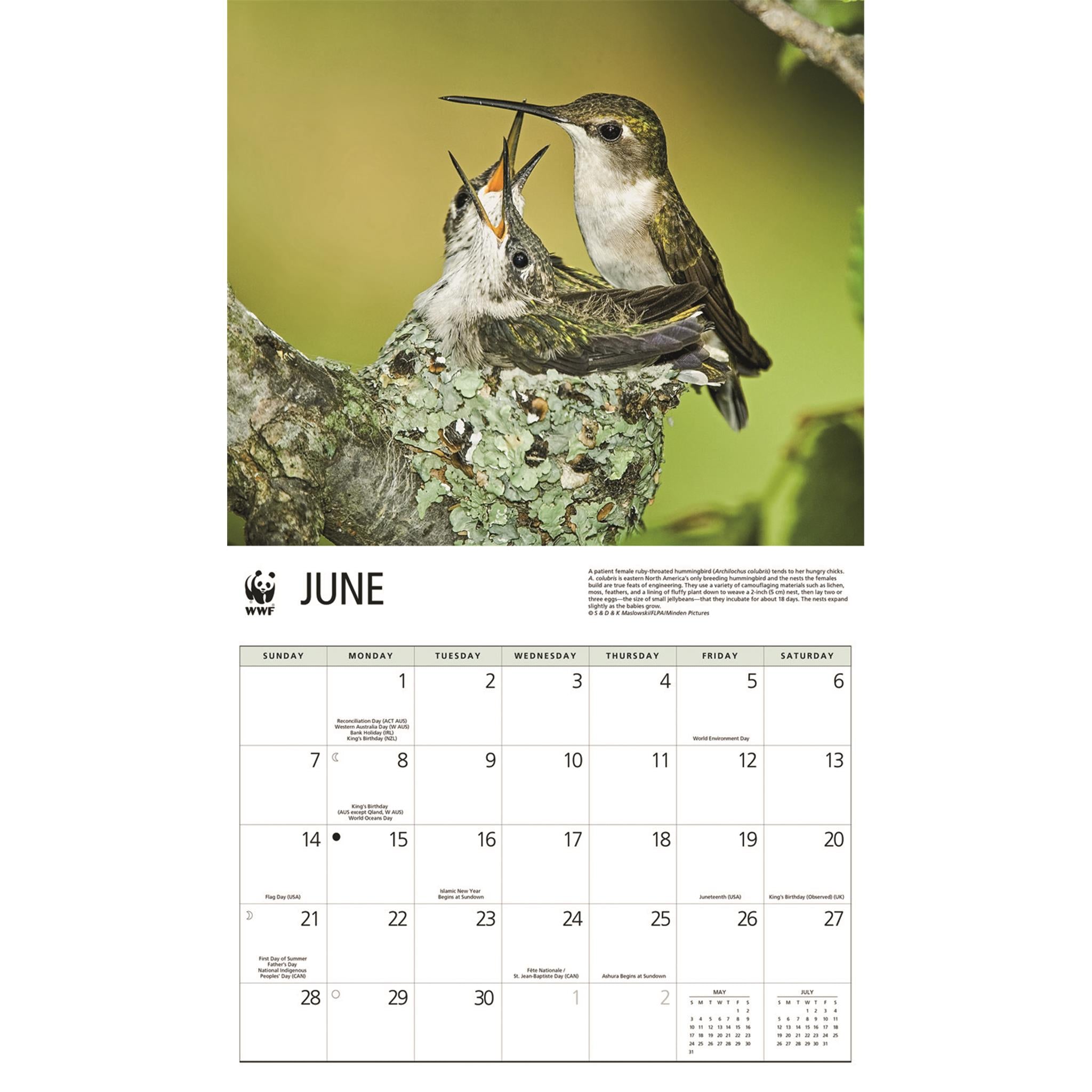 World Wildlife Fund Birds Backyard  2026 Wall Calendar