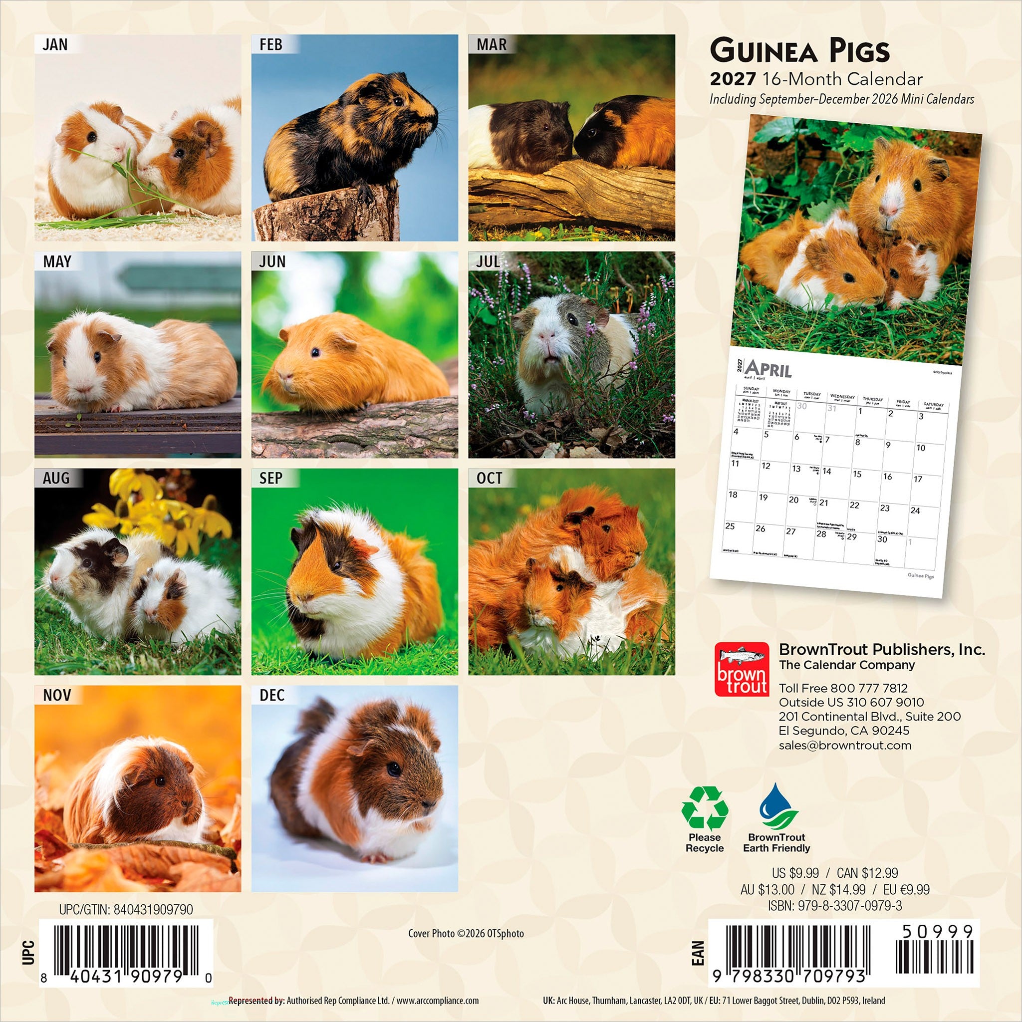 Guinea Pigs 2027 Mini Calendar