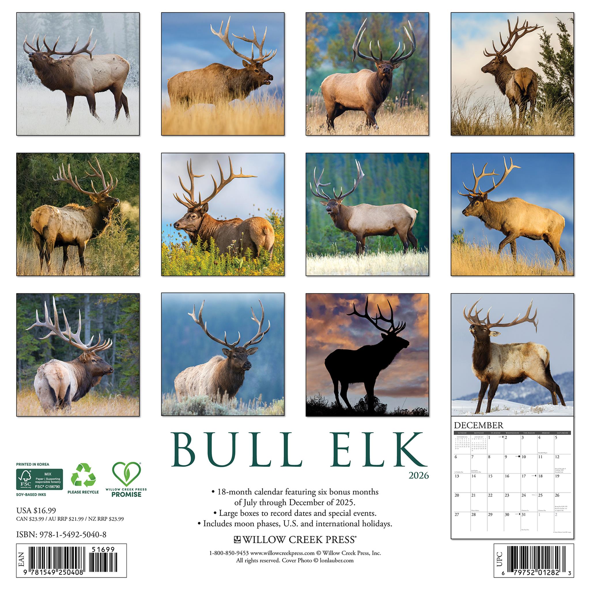 Calendrier mural Bull Elk 2026