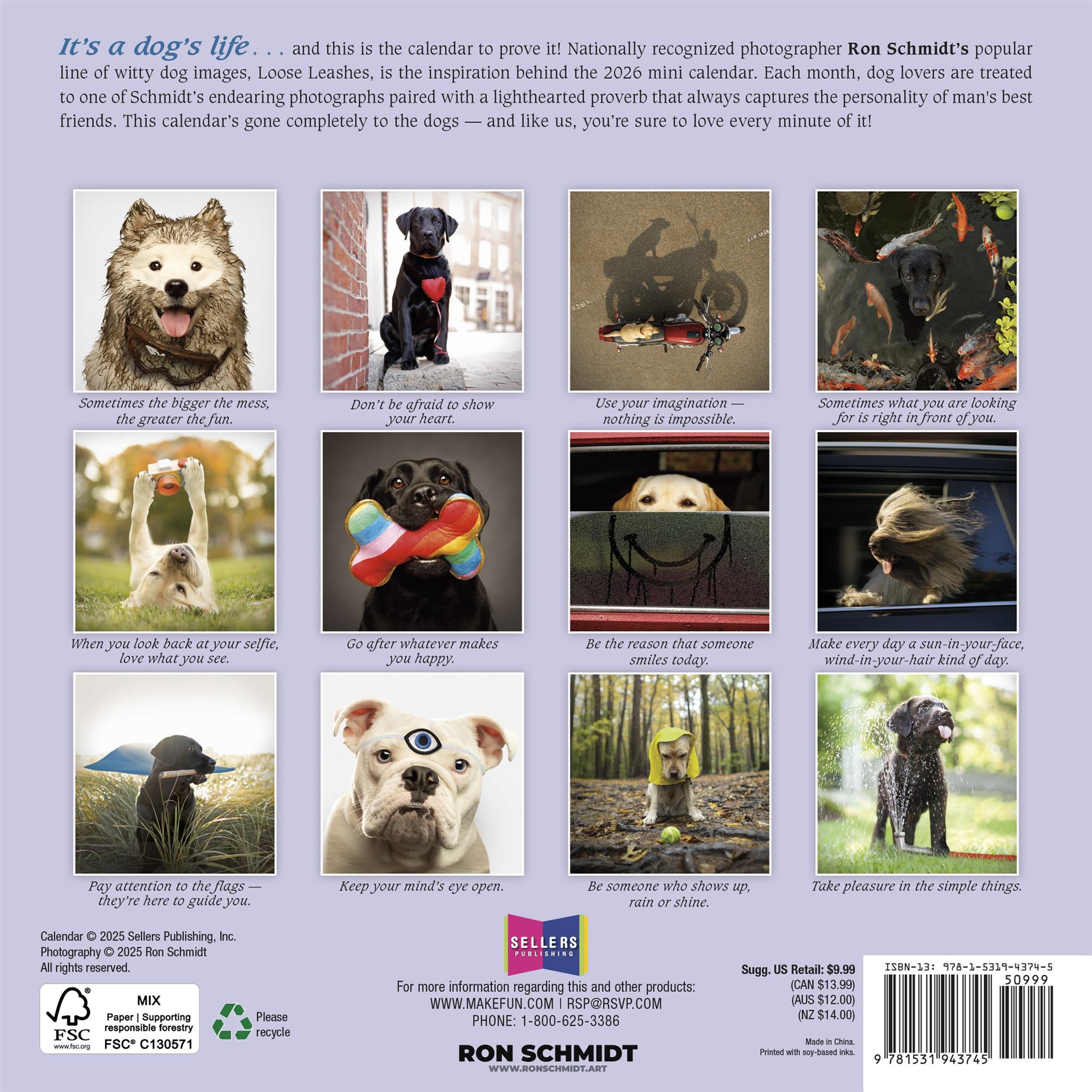 Mini-calendrier Dogma 2026