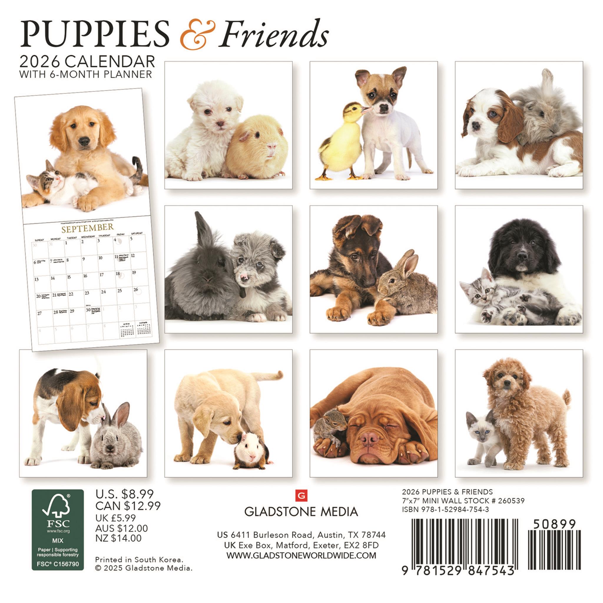 Calendrier miniature Chiots et Amis 2026