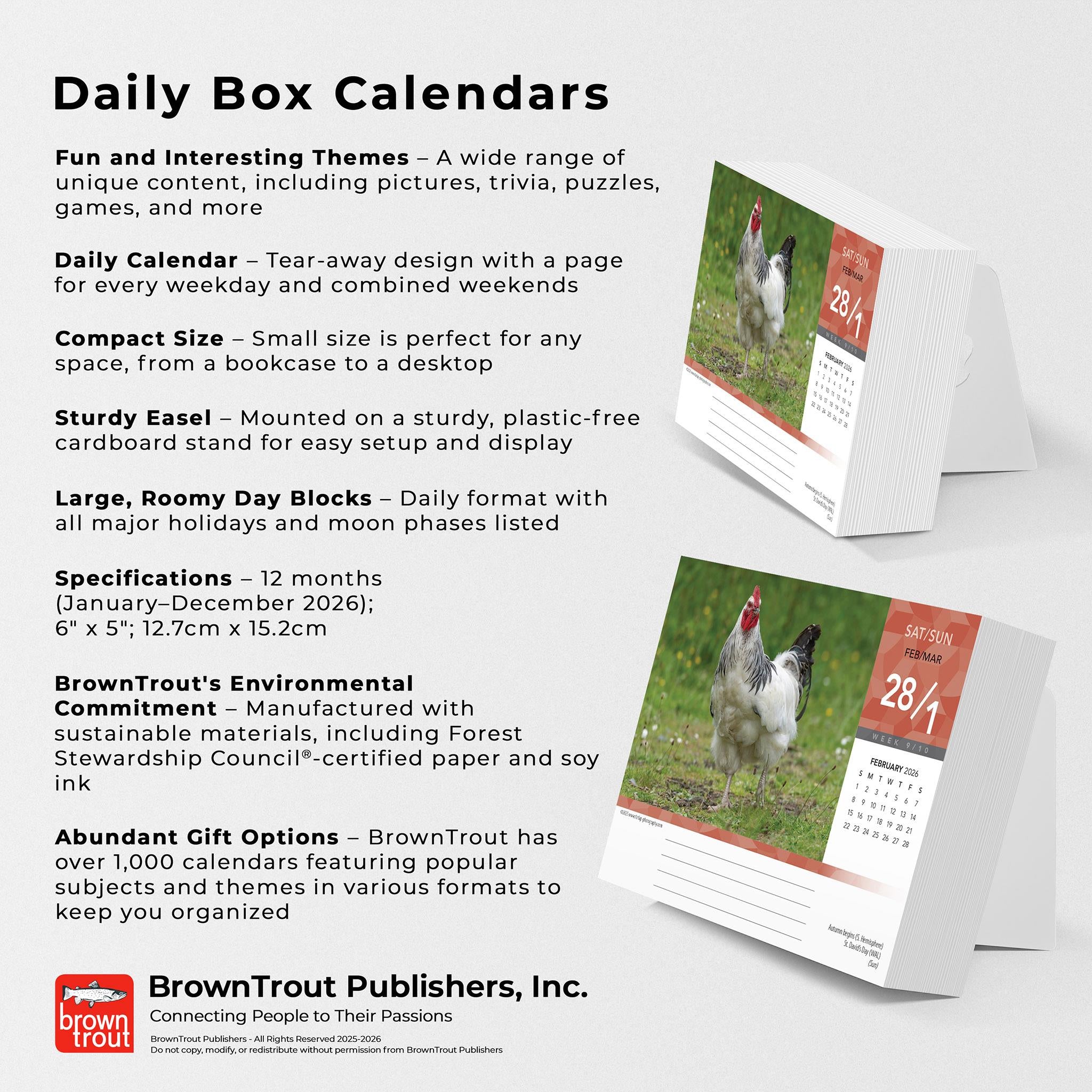 Calendrier de l'Avent 2026 - Disponible uniquement en ligne