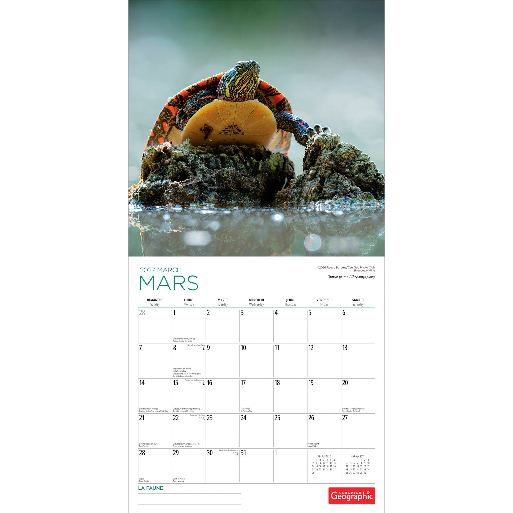 Canadian Geographic La faune 2027 Wall Calendar (French)