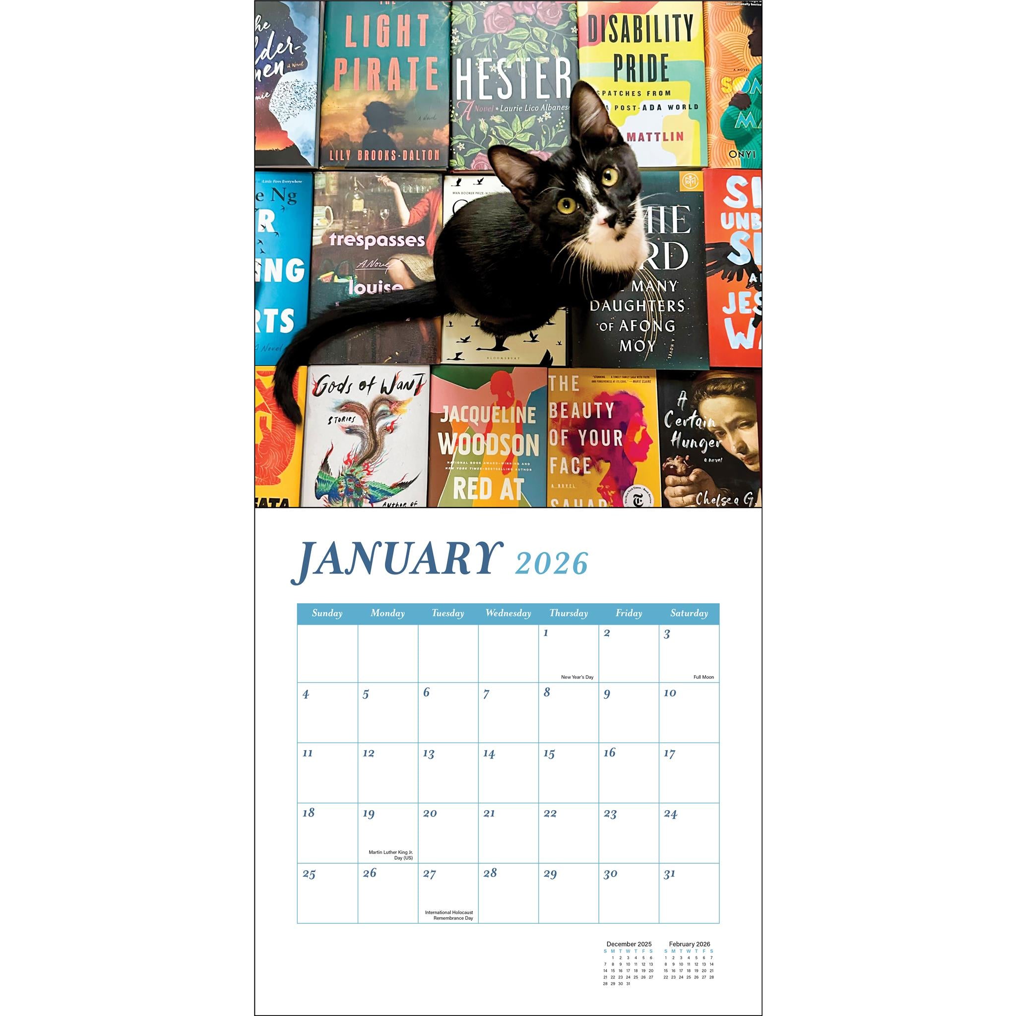 Calendrier mural Chats et Livres 2026